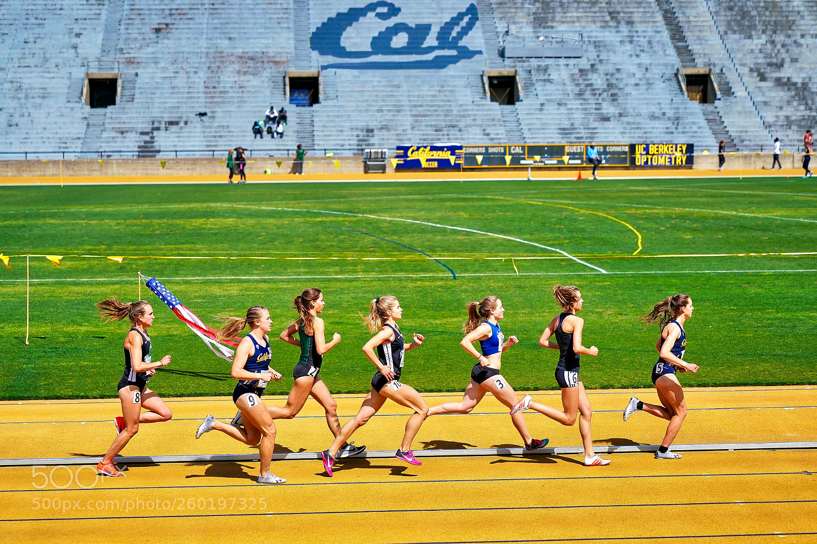 Sony a9 sample photo. The golden state 0531 photography