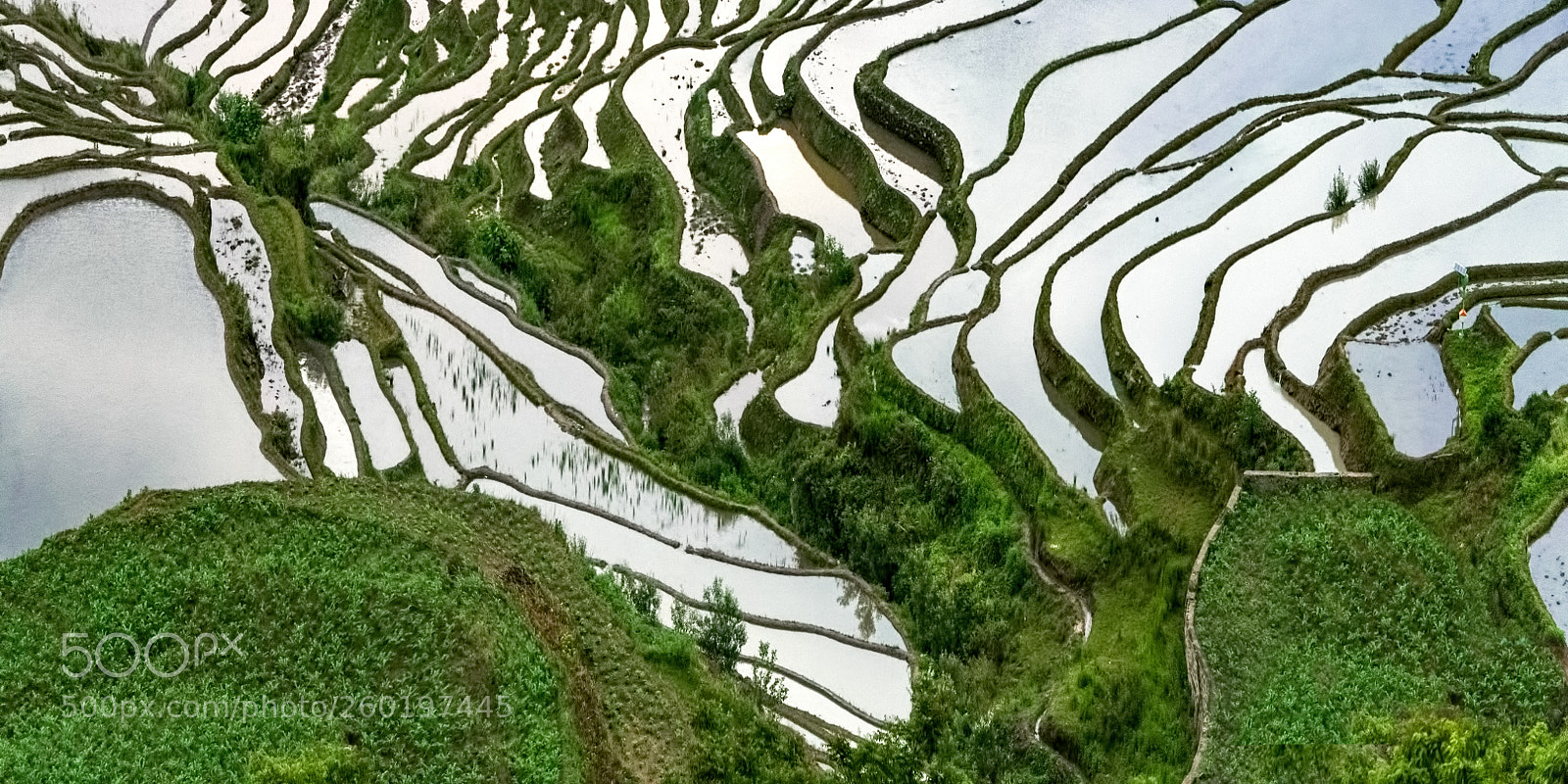 Nikon D850 sample photo. The hills of yunnan photography