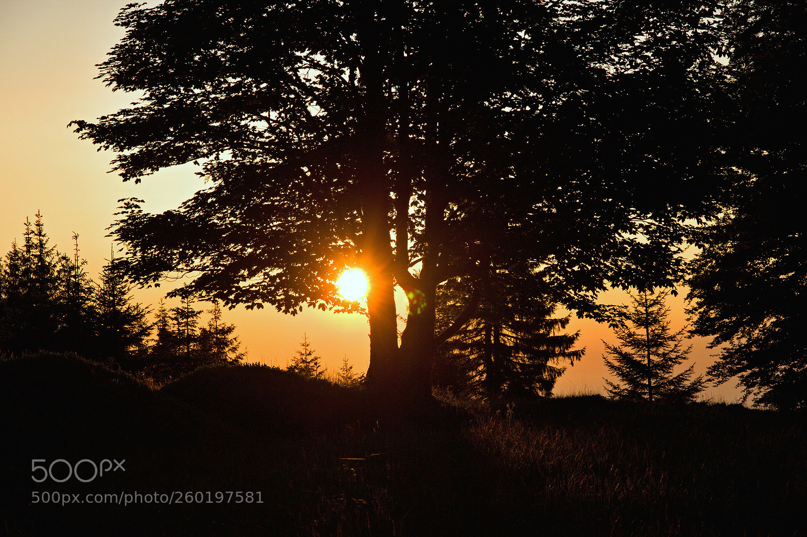 Canon EOS 600D (Rebel EOS T3i / EOS Kiss X5) sample photo. Šumava - sunrice photography