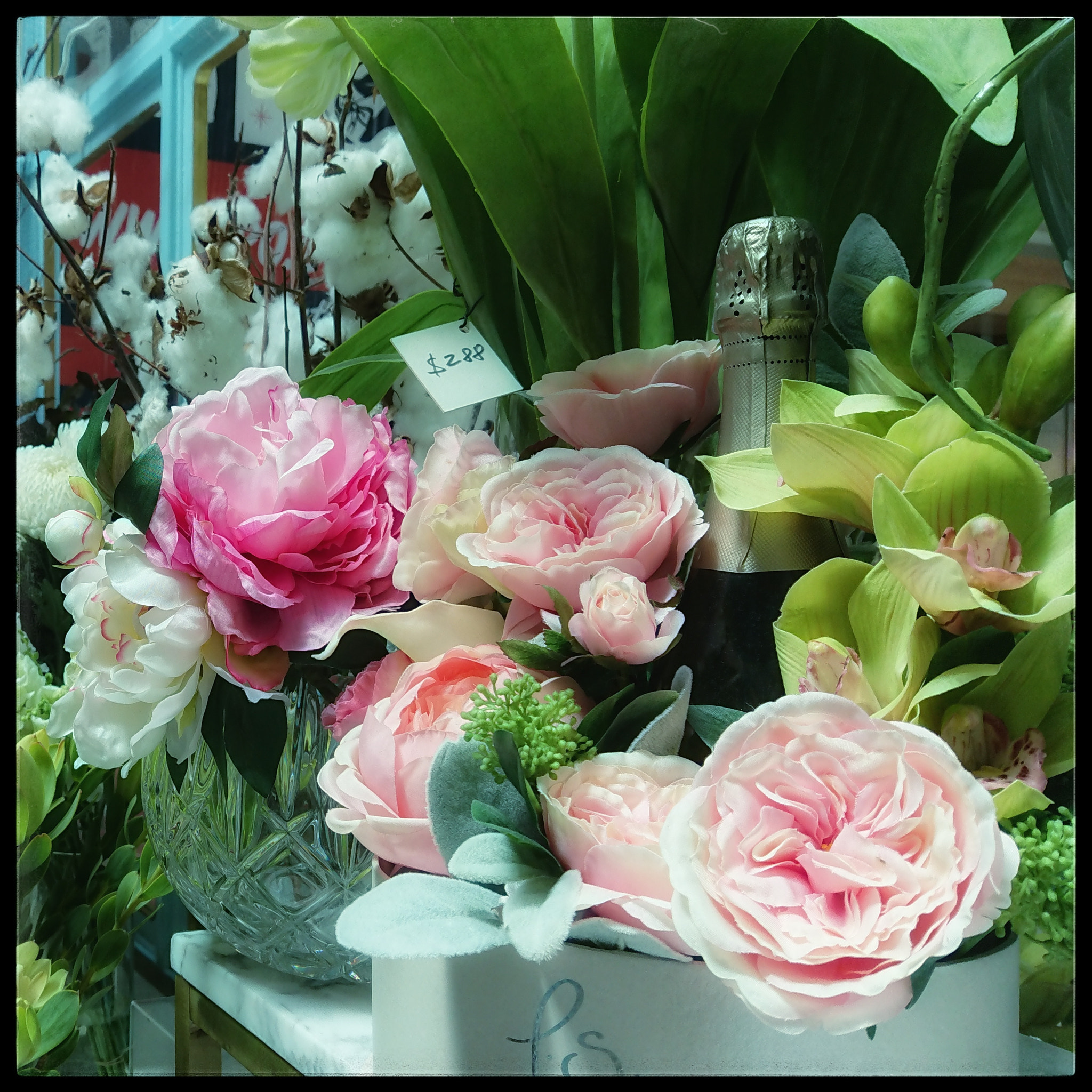 Sony Xperia XZ Premium sample photo. Popmixer. the power of flowers. photography