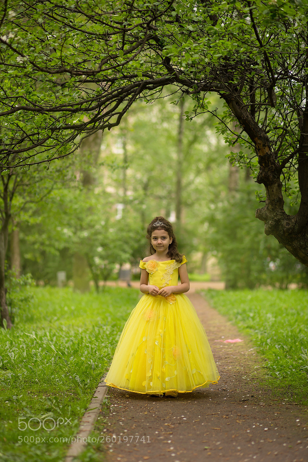Canon EOS 6D sample photo. Princess in yellow dress photography