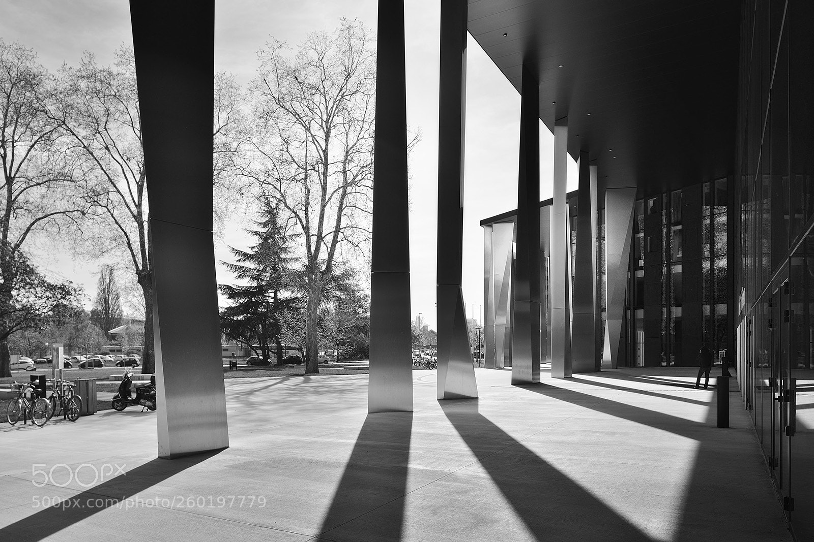 Nikon D800 sample photo. Pmc strasbourg #9 photography