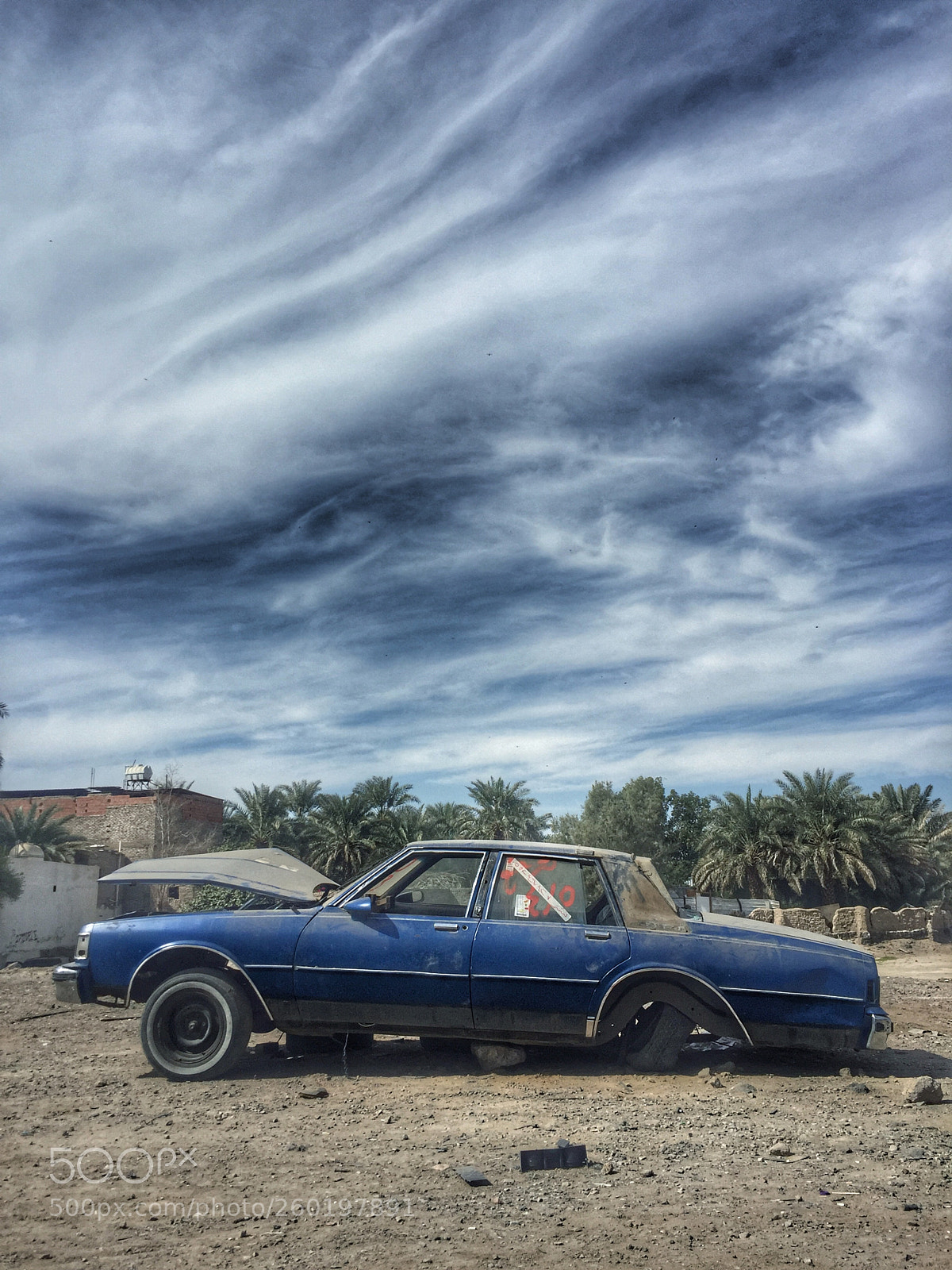 Apple iPhone 6 sample photo. Iphone 6  photography