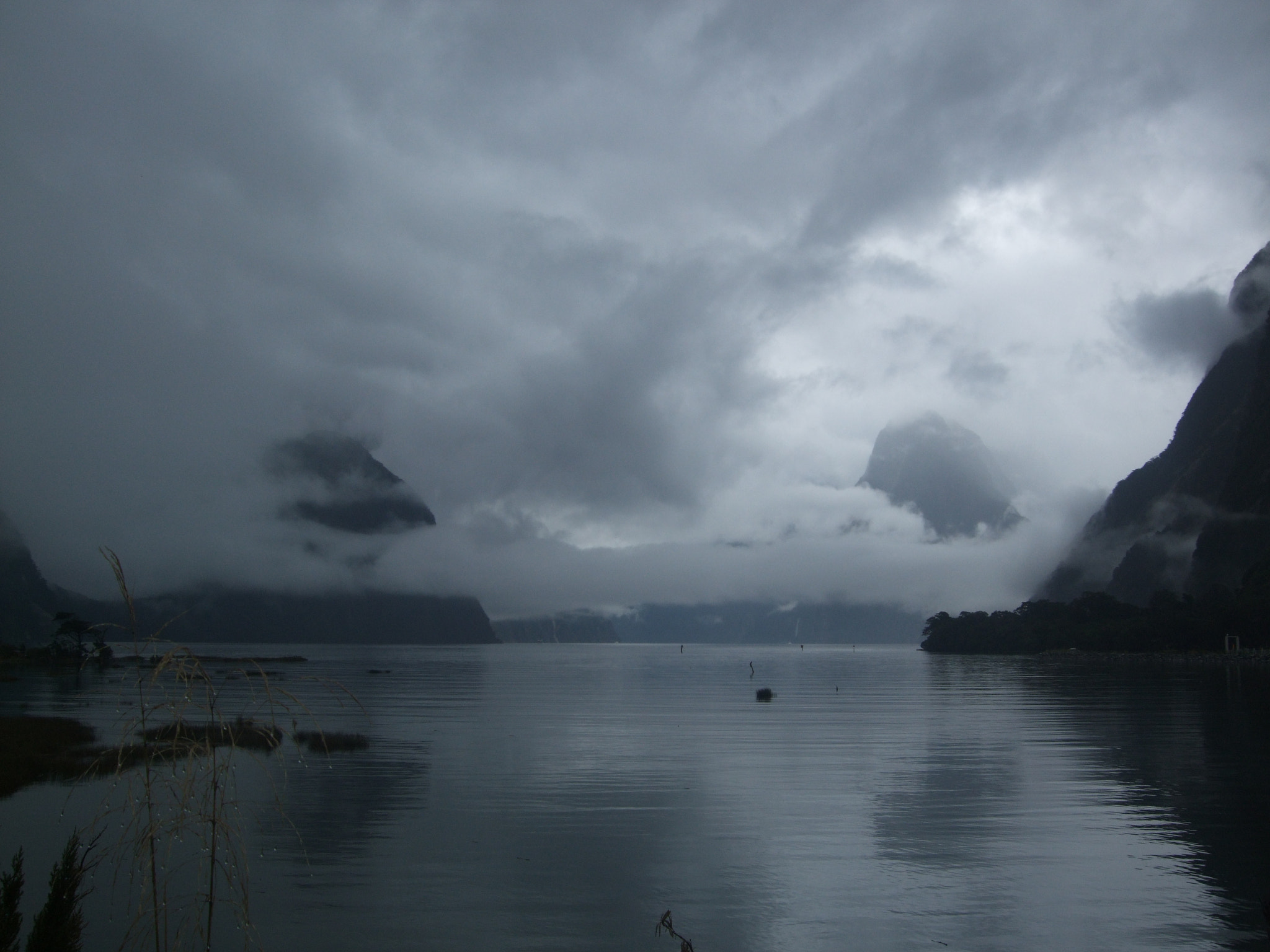 Fujifilm FinePix F50fd sample photo. Milford sound in fiordland, new zealand photography