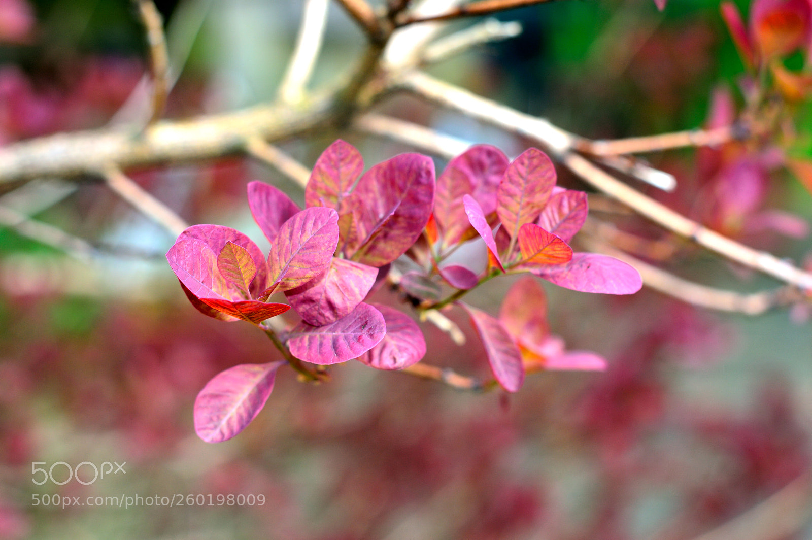 Nikon D3200 sample photo. Diablo photography