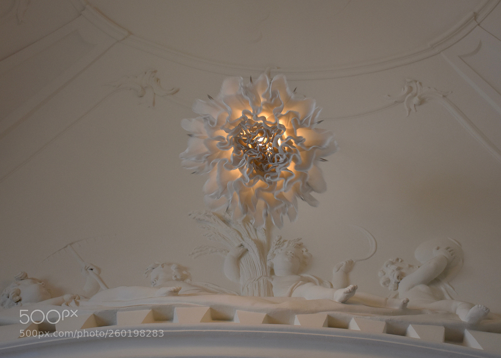 Nikon D5600 sample photo. Bring your flowers photography