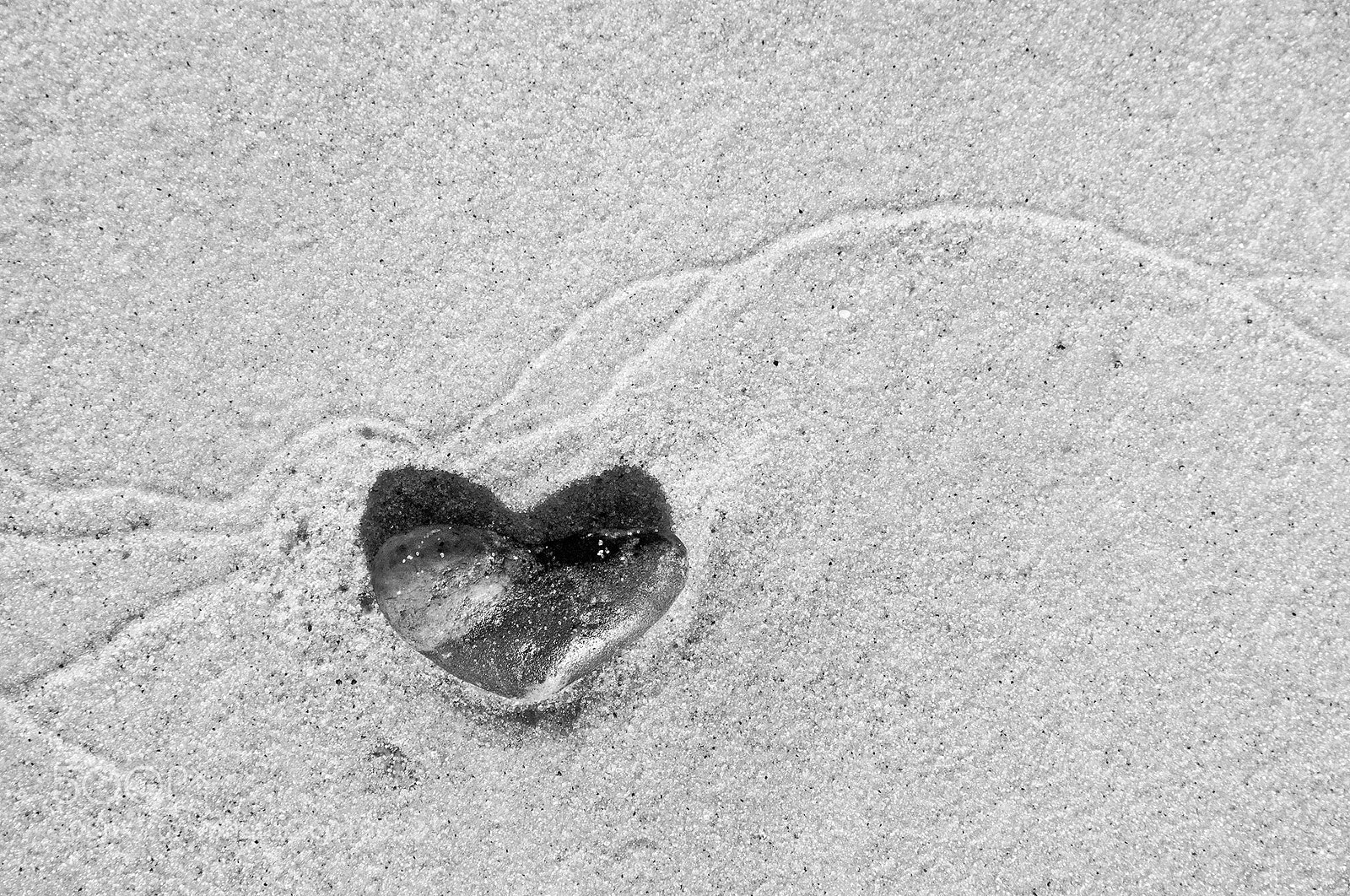 Nikon D90 sample photo. Heartbeat photography