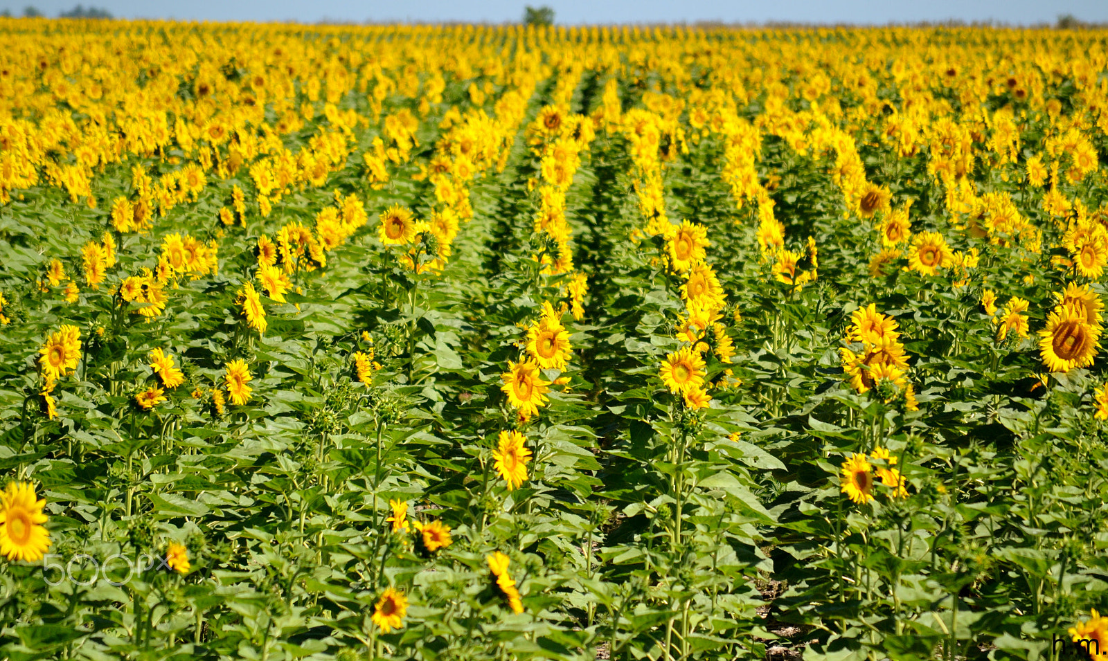 Nikon D3100 sample photo. Orientacion photography