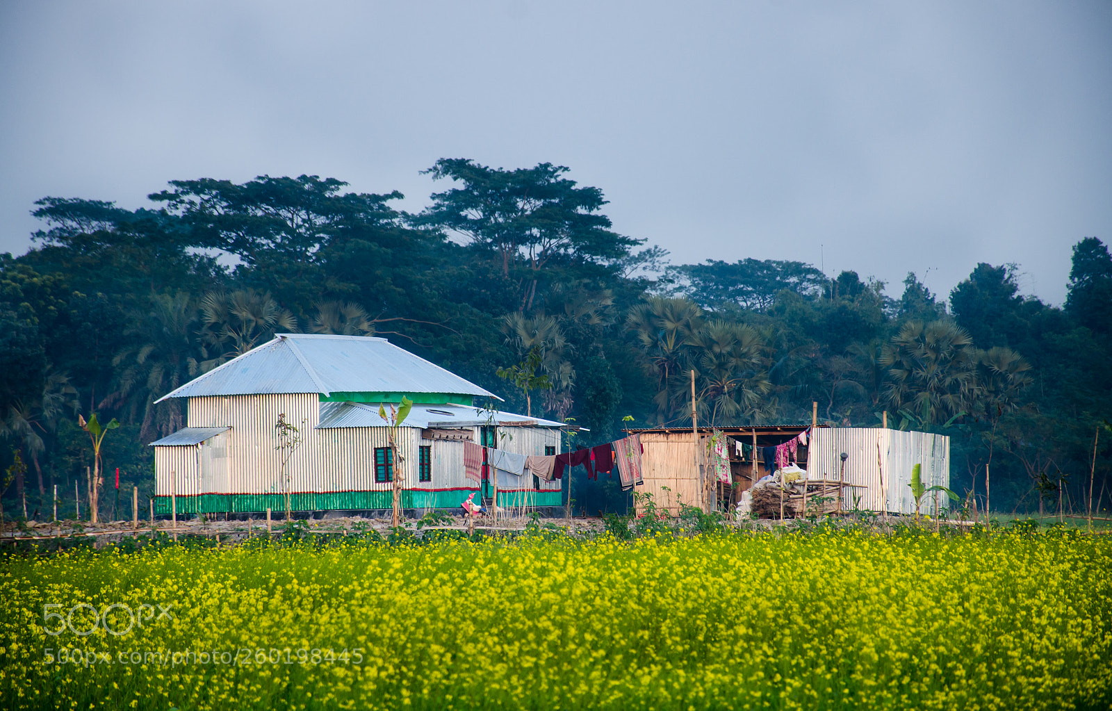 Nikon D7000 sample photo. Flower house photography