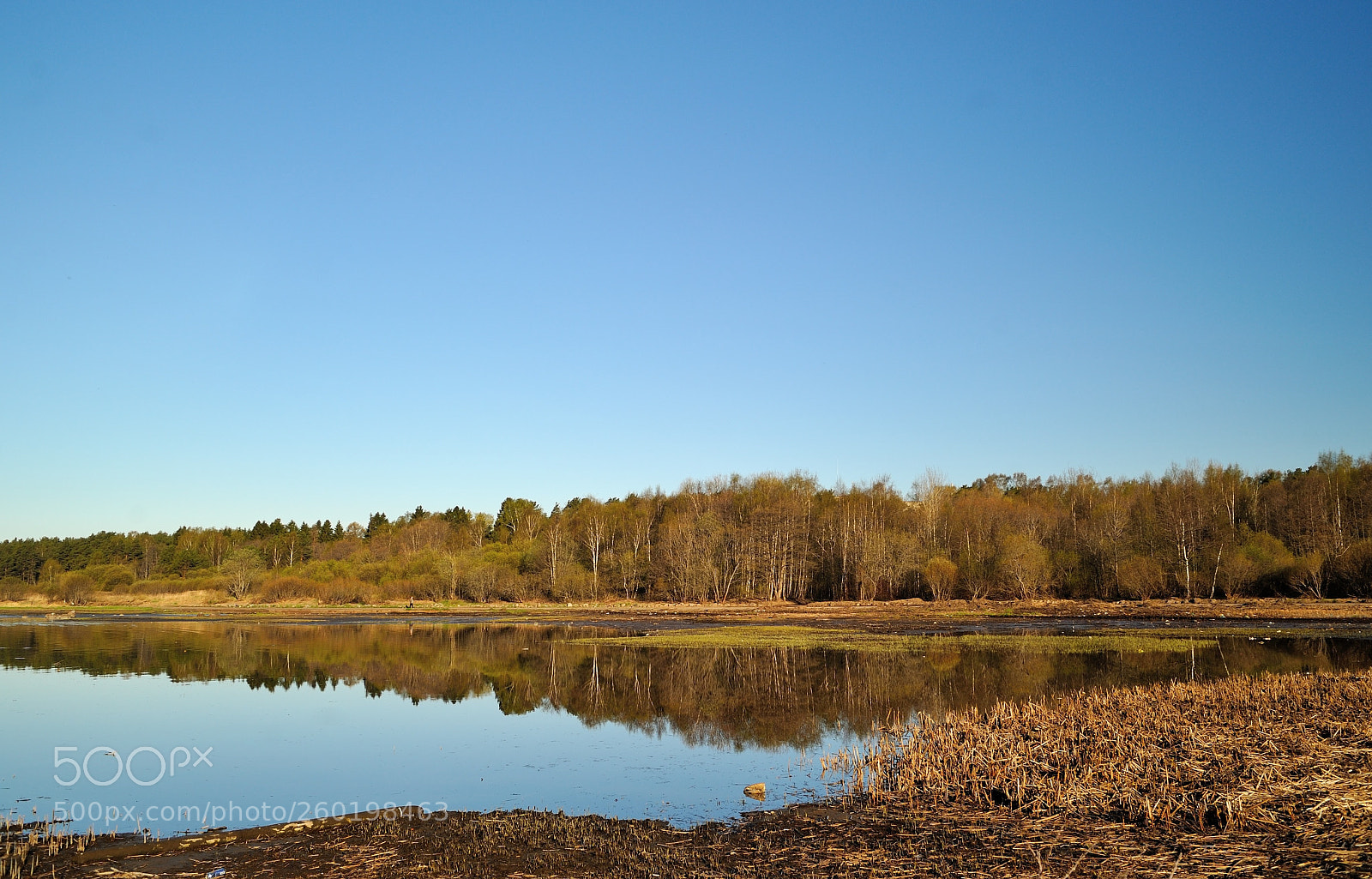 Nikon D700 sample photo. на Финском заливе... #6 photography