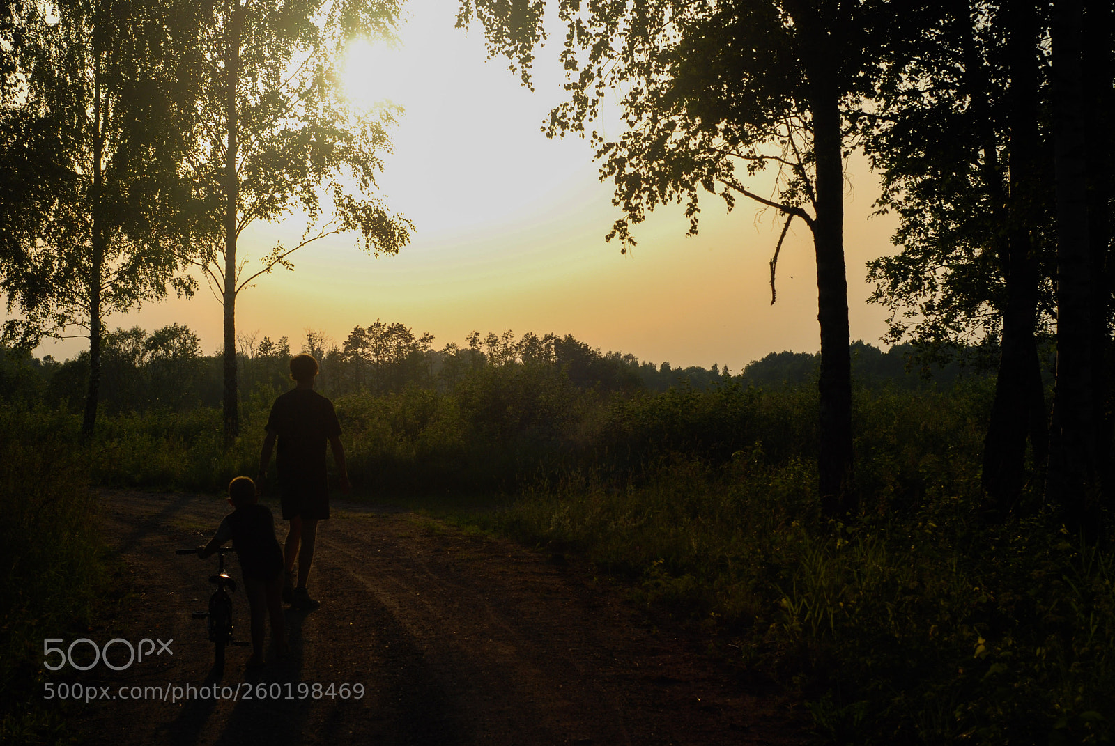 Nikon D80 sample photo. Sundown photography