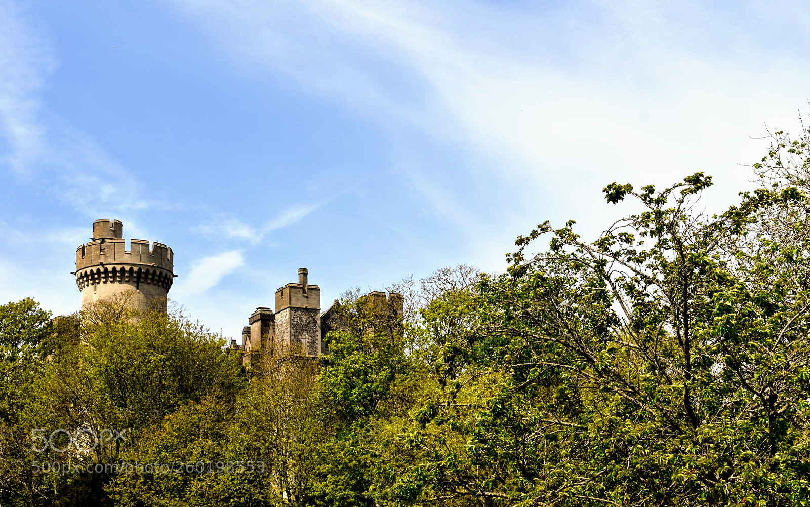 Nikon D3400 sample photo. Castle through the trees photography