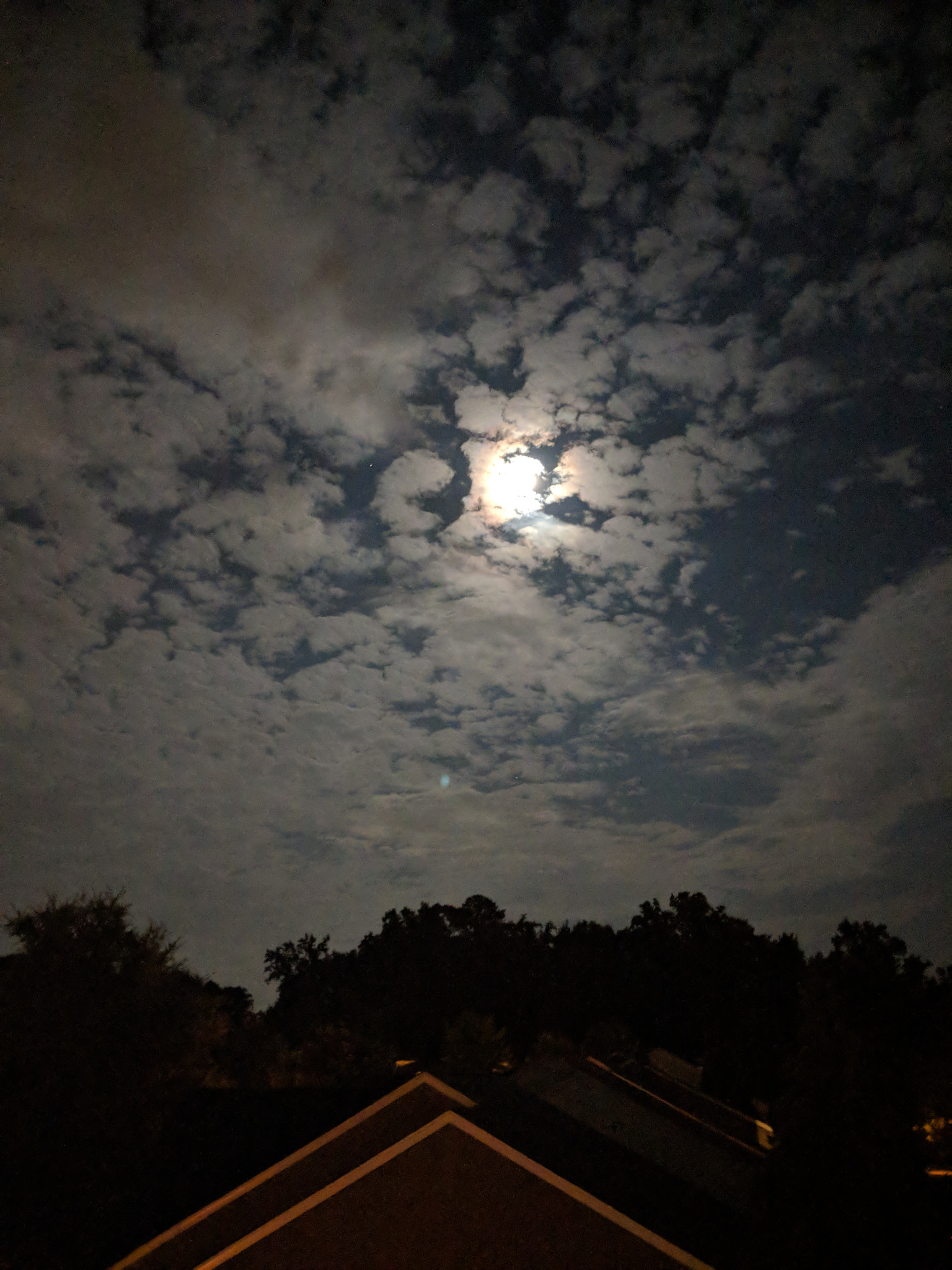 Google Pixel 2 XL sample photo