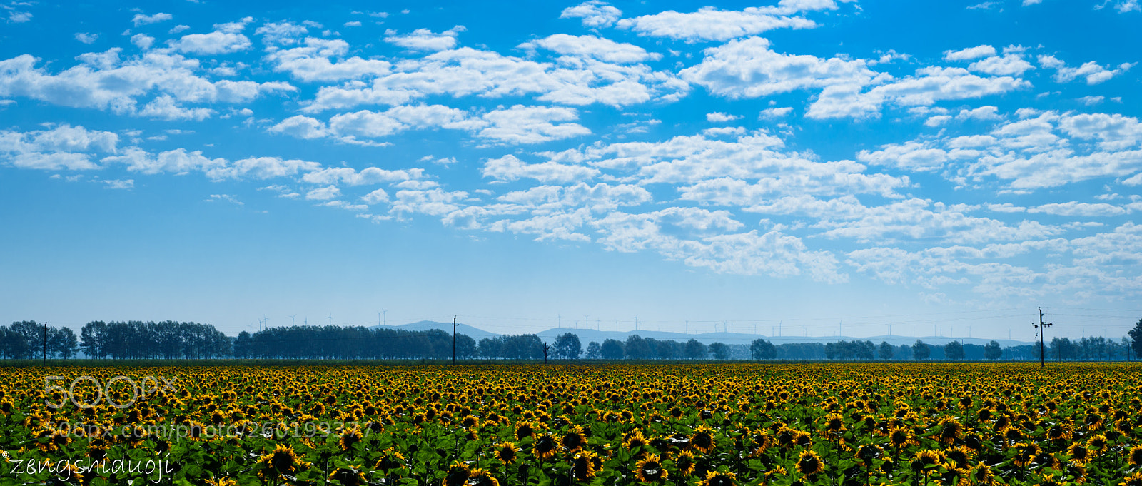 Nikon D750 sample photo. 丰年 photography