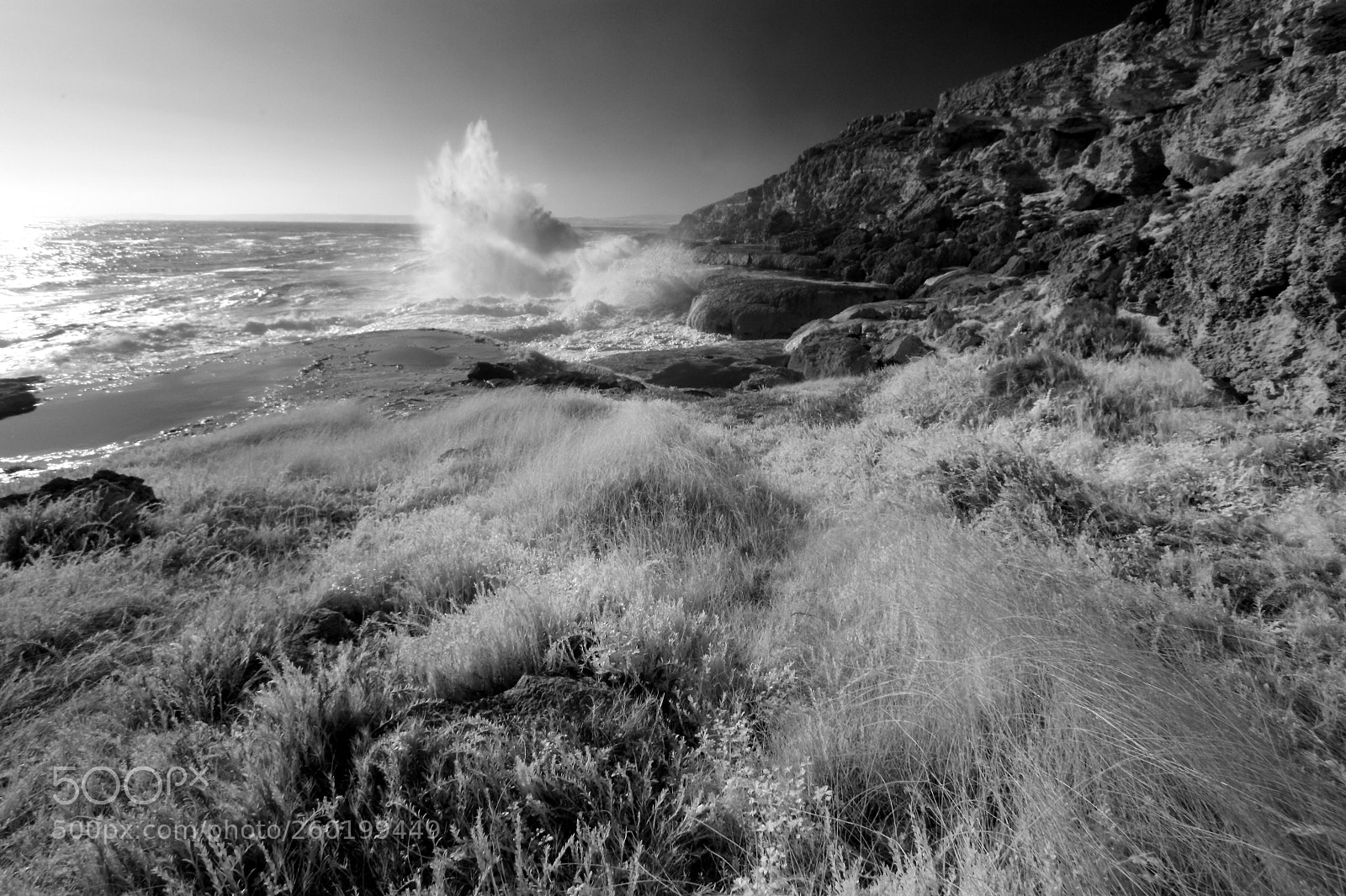 Canon EOS 50D sample photo. Wave photography