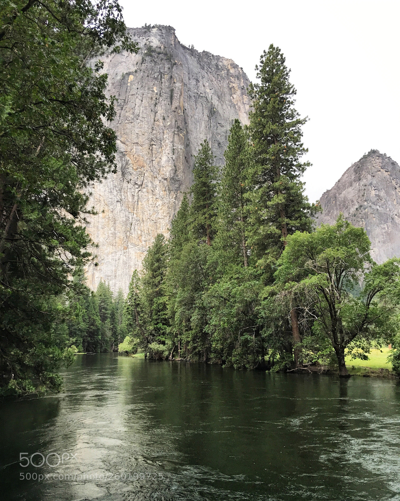Apple iPhone 6s Plus sample photo. Yosemite valley floor  photography