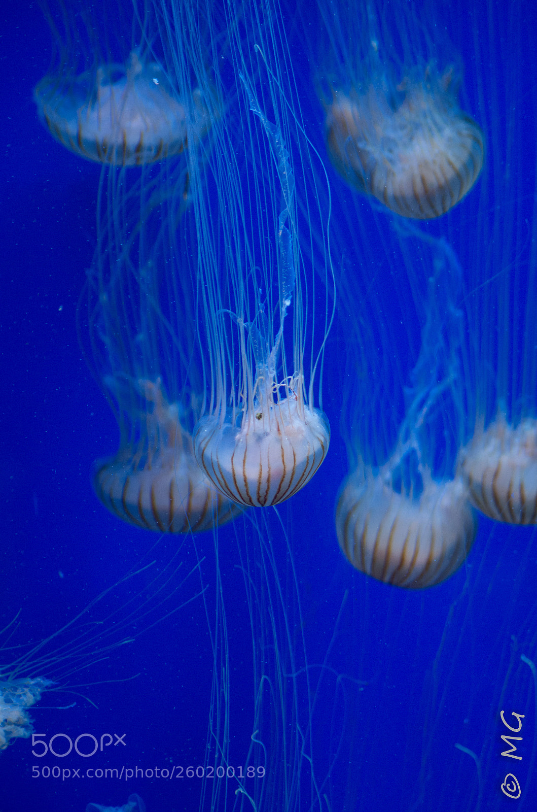 Pentax K-30 sample photo. Under the ocean photography