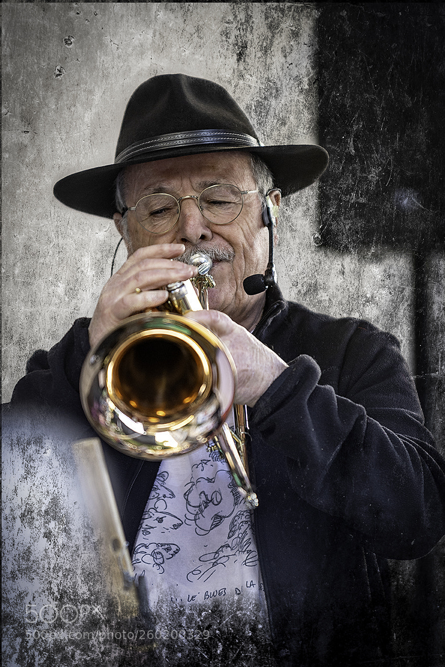 Nikon D5 sample photo. Lionel et les m photography