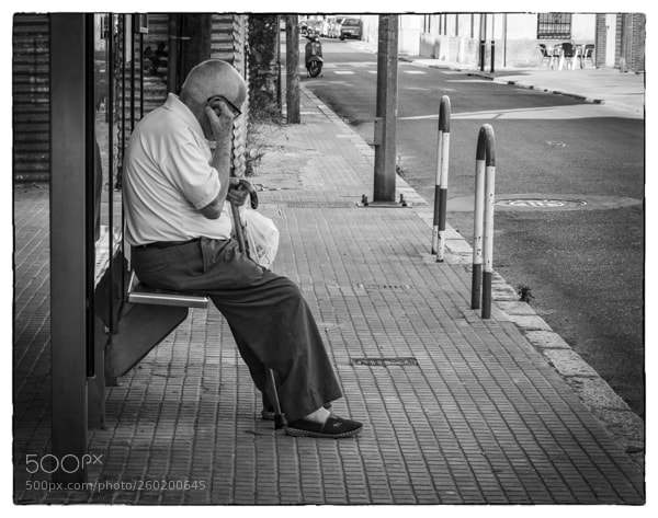 Olympus OM-D E-M1 Mark II sample photo. . photography