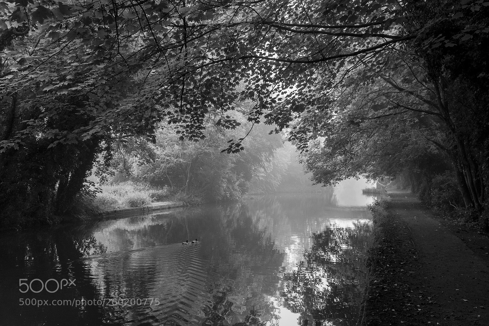 Fujifilm X100S sample photo. Misty morning on grand photography