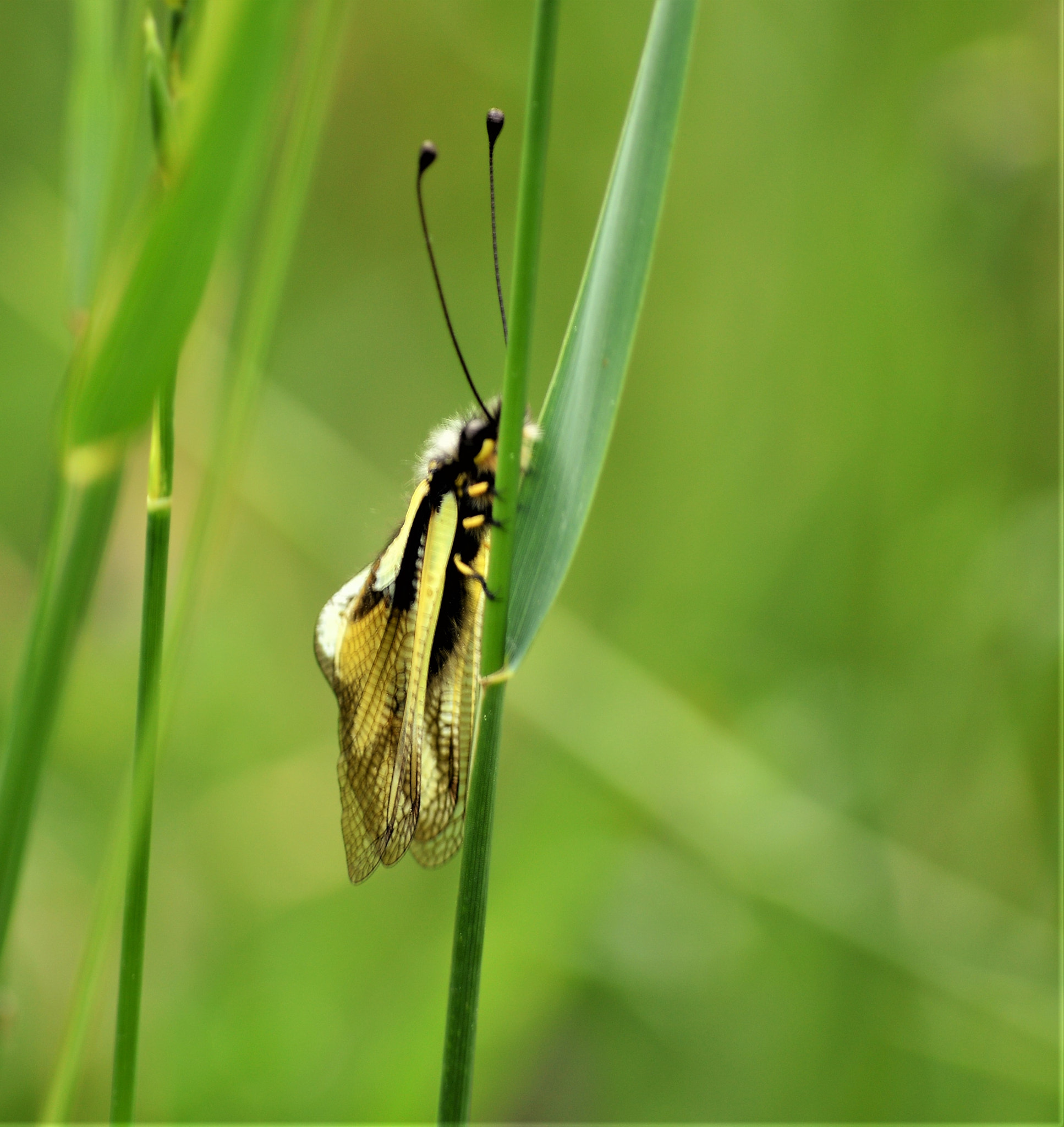 Nikon D3200 sample photo