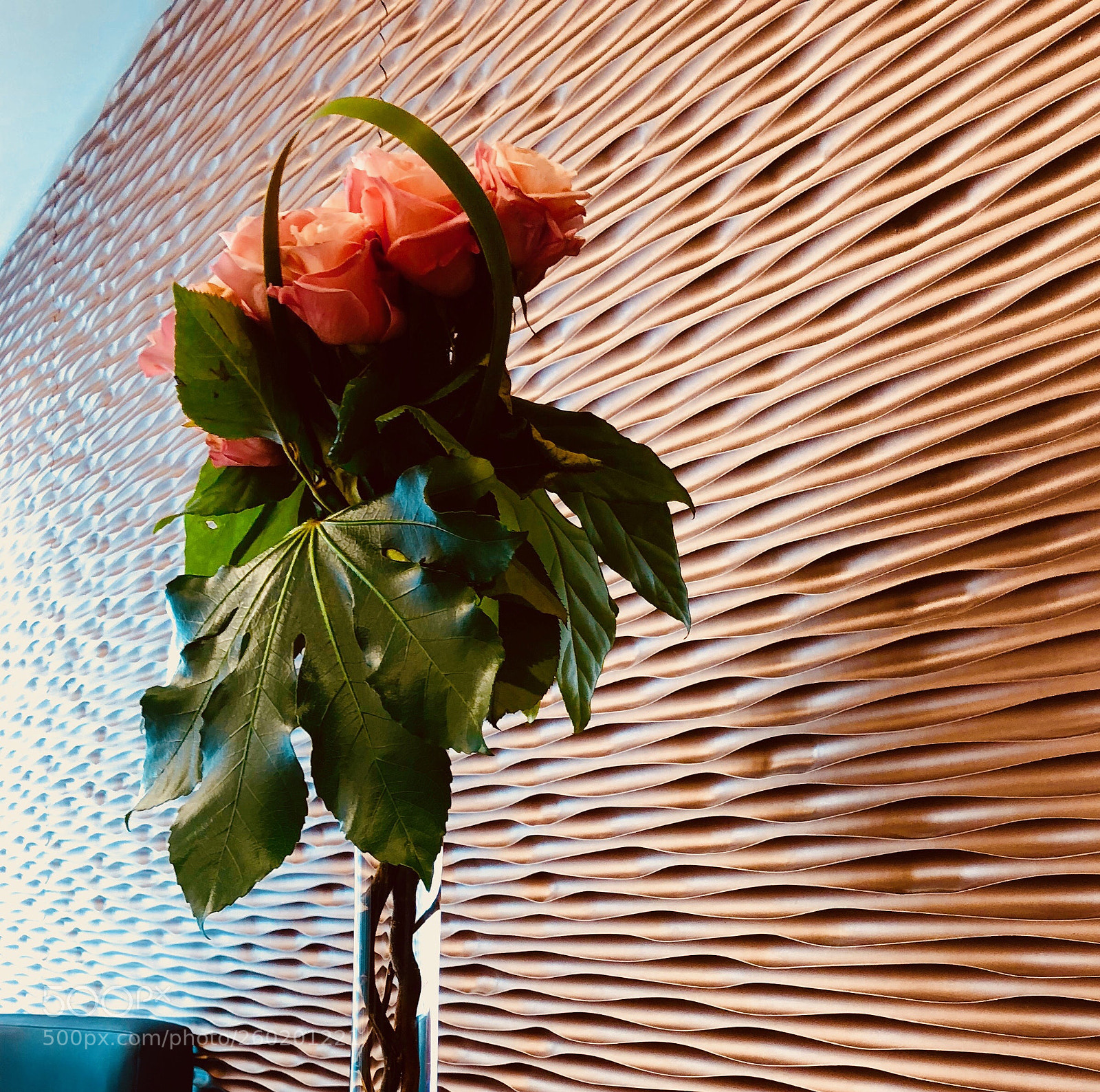 Apple iPhone X sample photo. Untitled photography