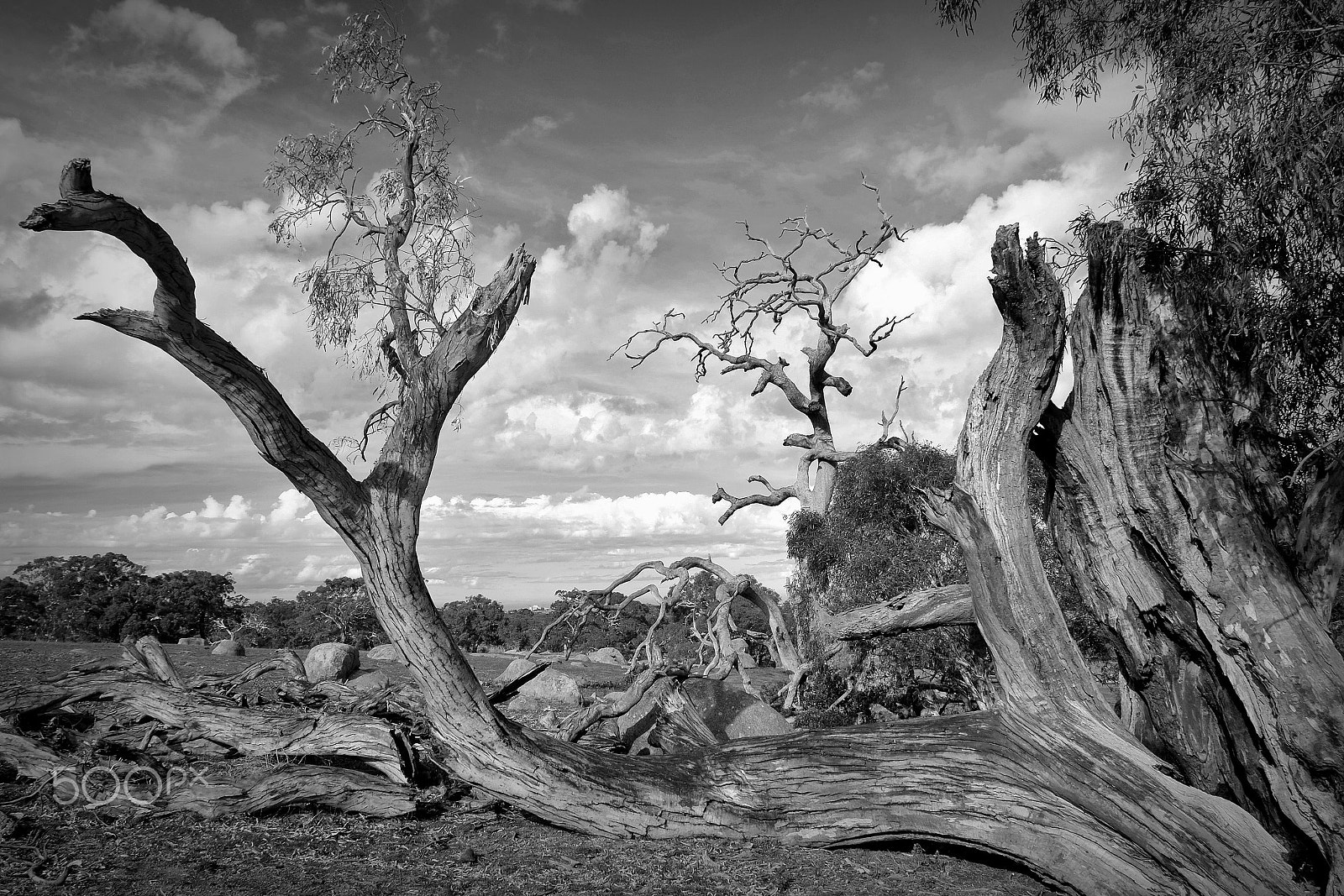 Fujifilm X-M1 sample photo. Nature's sculpture photography