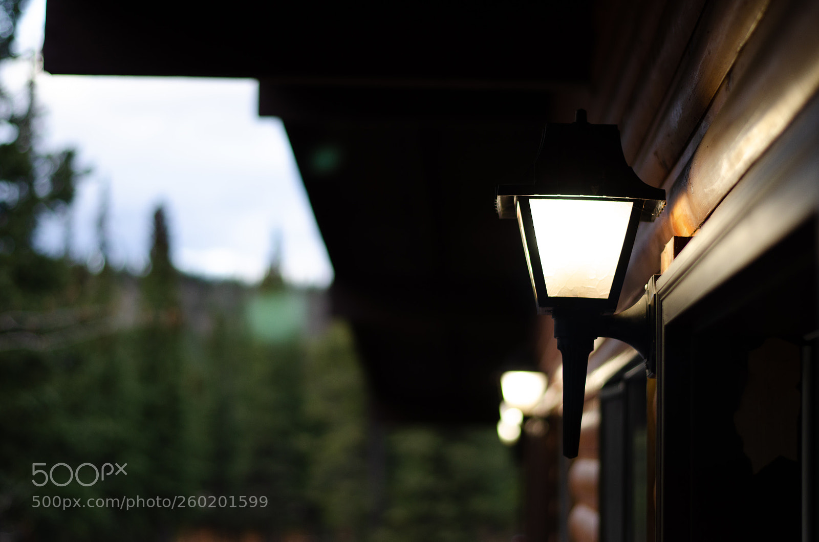 Nikon D5100 sample photo. Untitled photography
