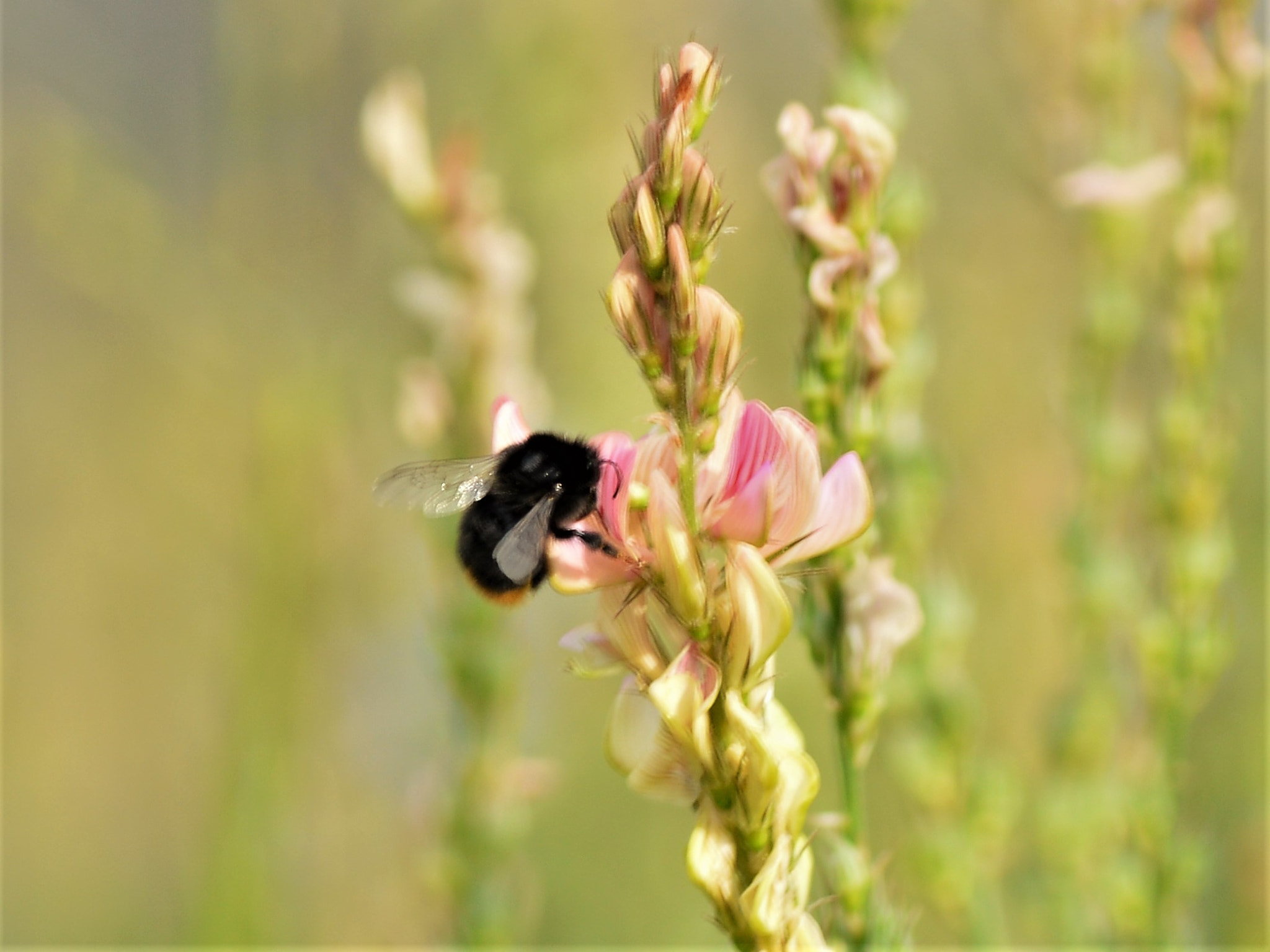 Nikon D3200 sample photo