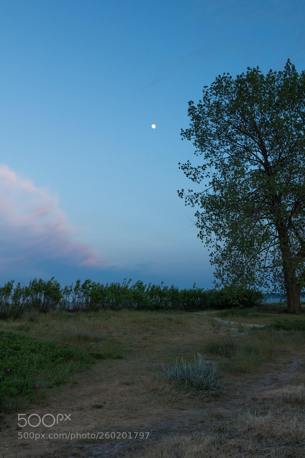 Nikon D7200 sample photo. In the night photography