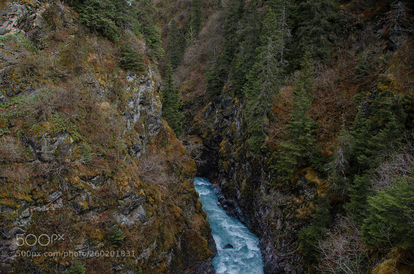 Nikon D5100 sample photo. Untitled photography