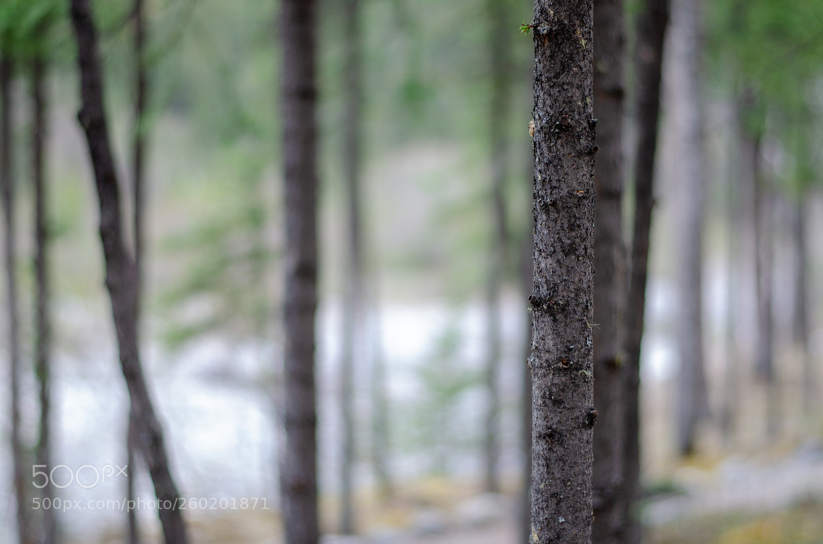 Nikon D5100 sample photo. Untitled photography