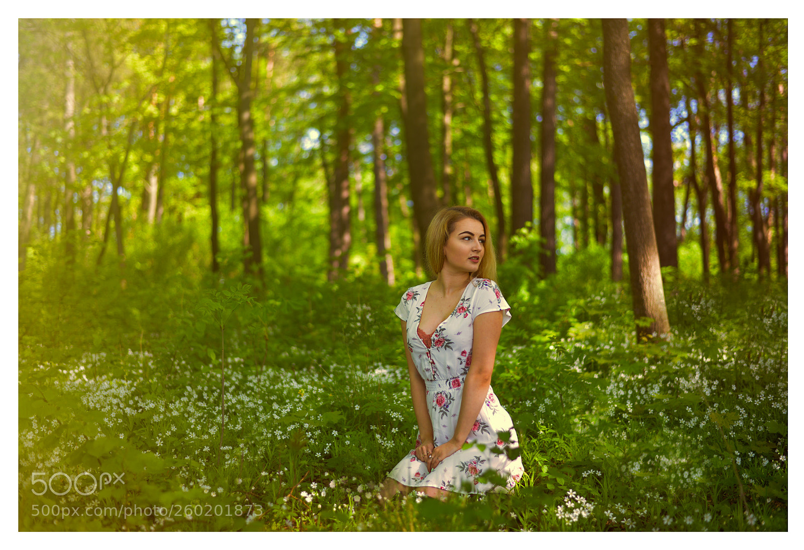 Nikon D610 sample photo. Forest tales photography