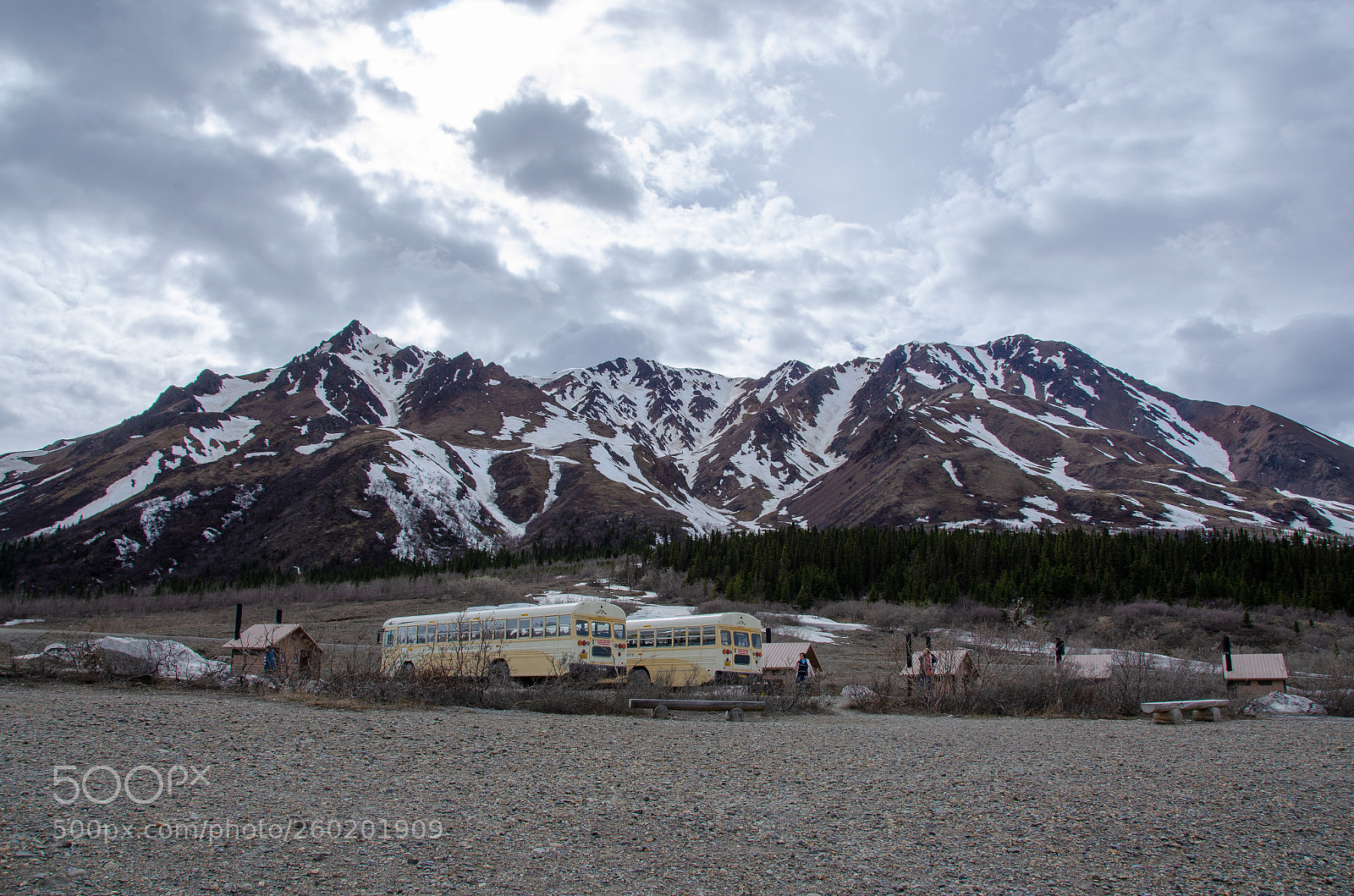 Nikon D5100 sample photo. Untitled photography