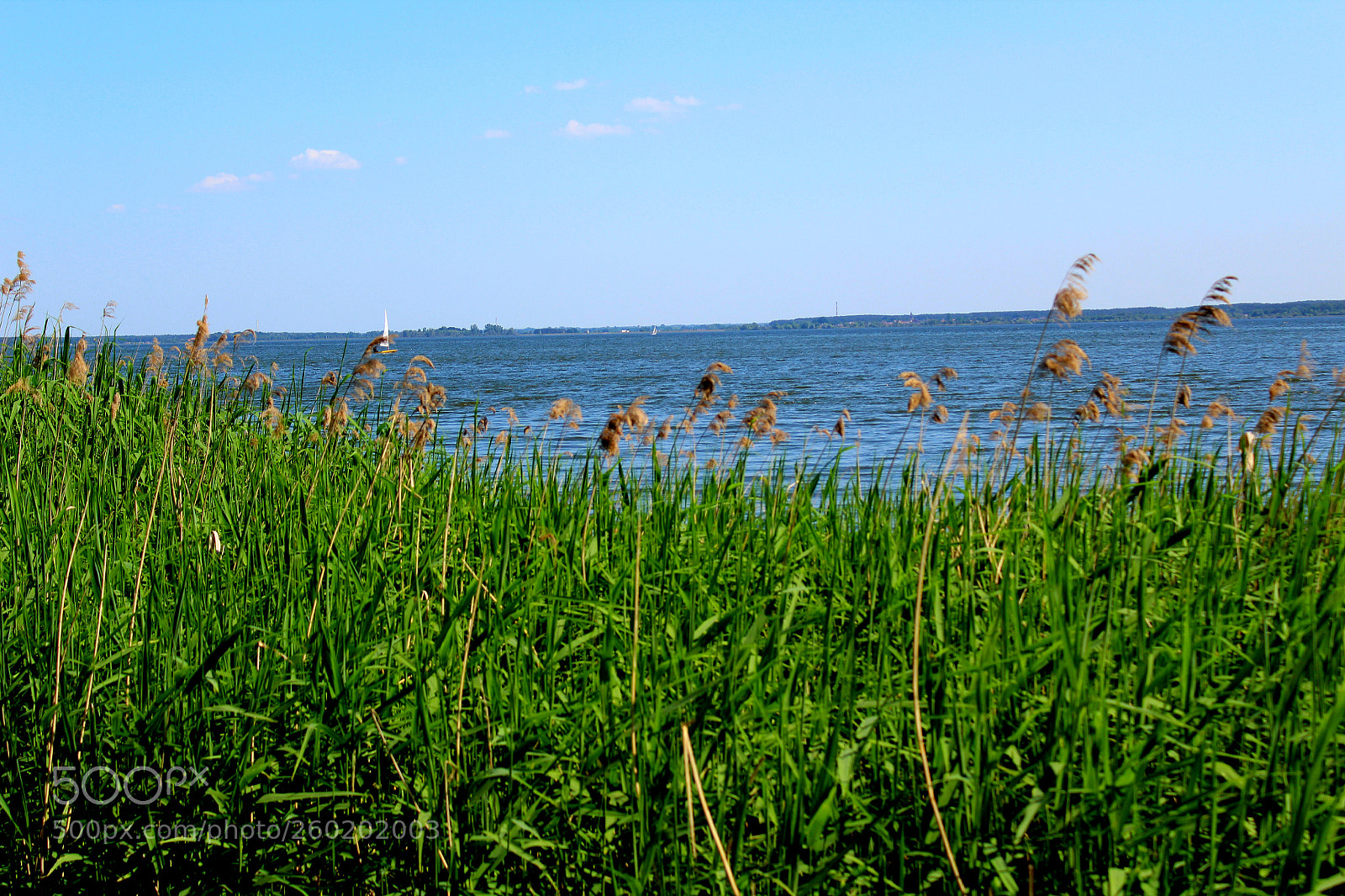 Canon EOS 1300D (EOS Rebel T6 / EOS Kiss X80) sample photo. A relaxing day at photography