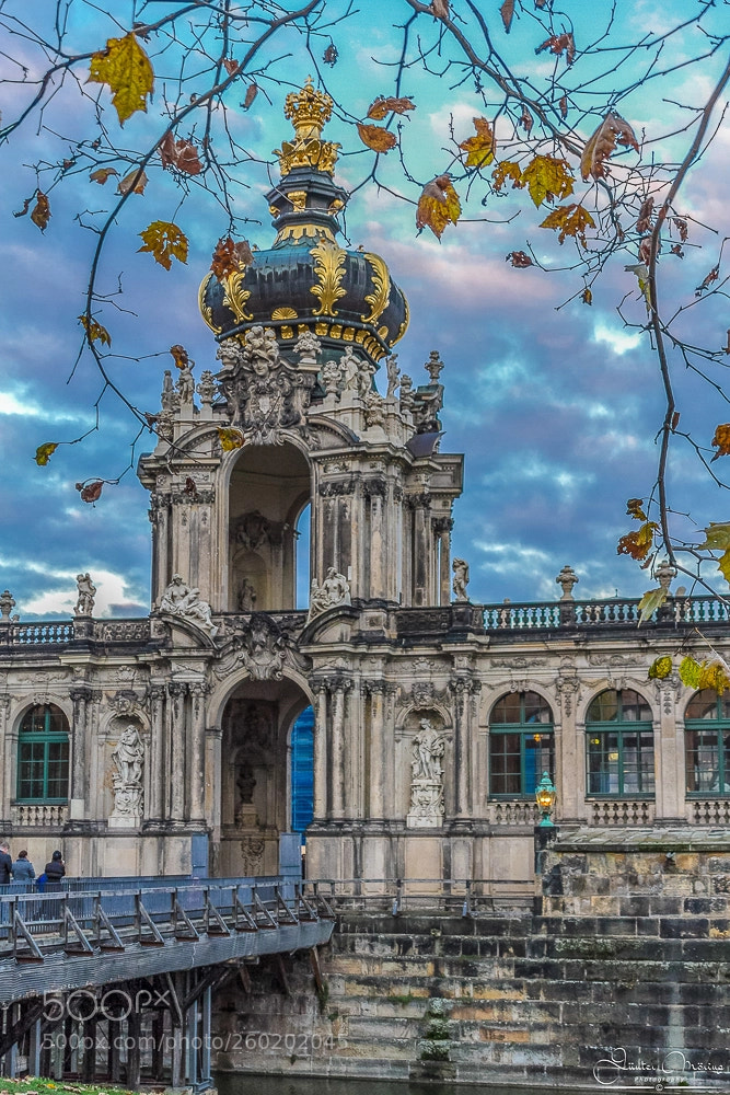 Canon EOS 7D sample photo. Zwinger photography