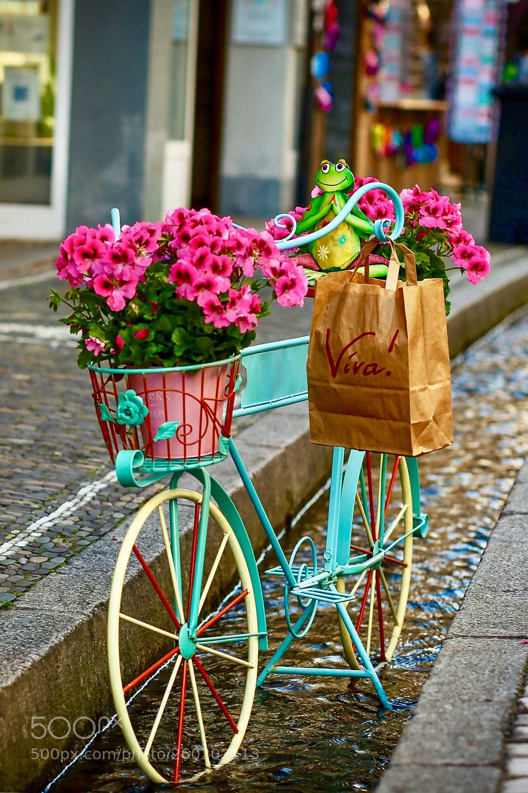 Canon EOS 6D sample photo. Flower bike photography