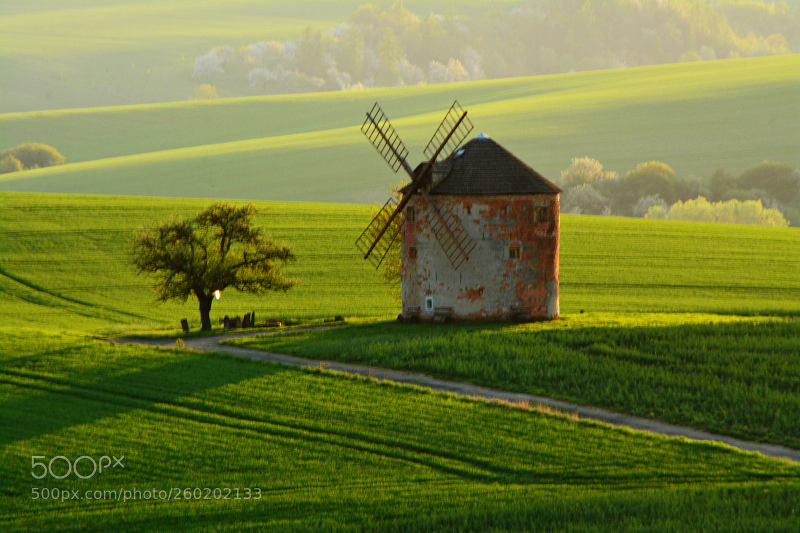 Nikon D7100 sample photo. Windmill photography