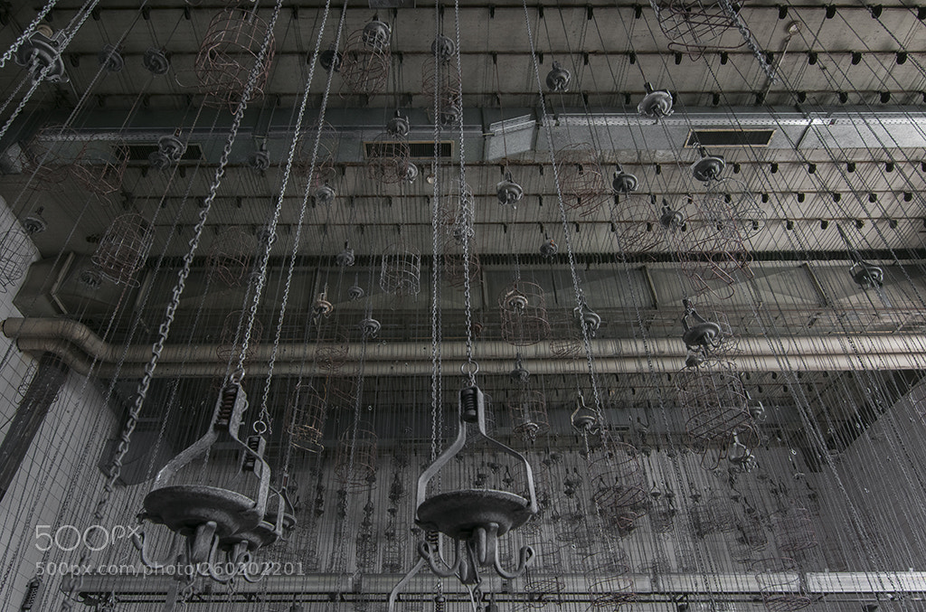 Nikon D300S sample photo. Rivoluzione industriale photography