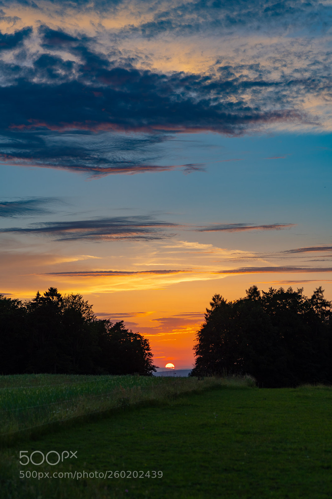 Sony a7 III sample photo. Sunset photography