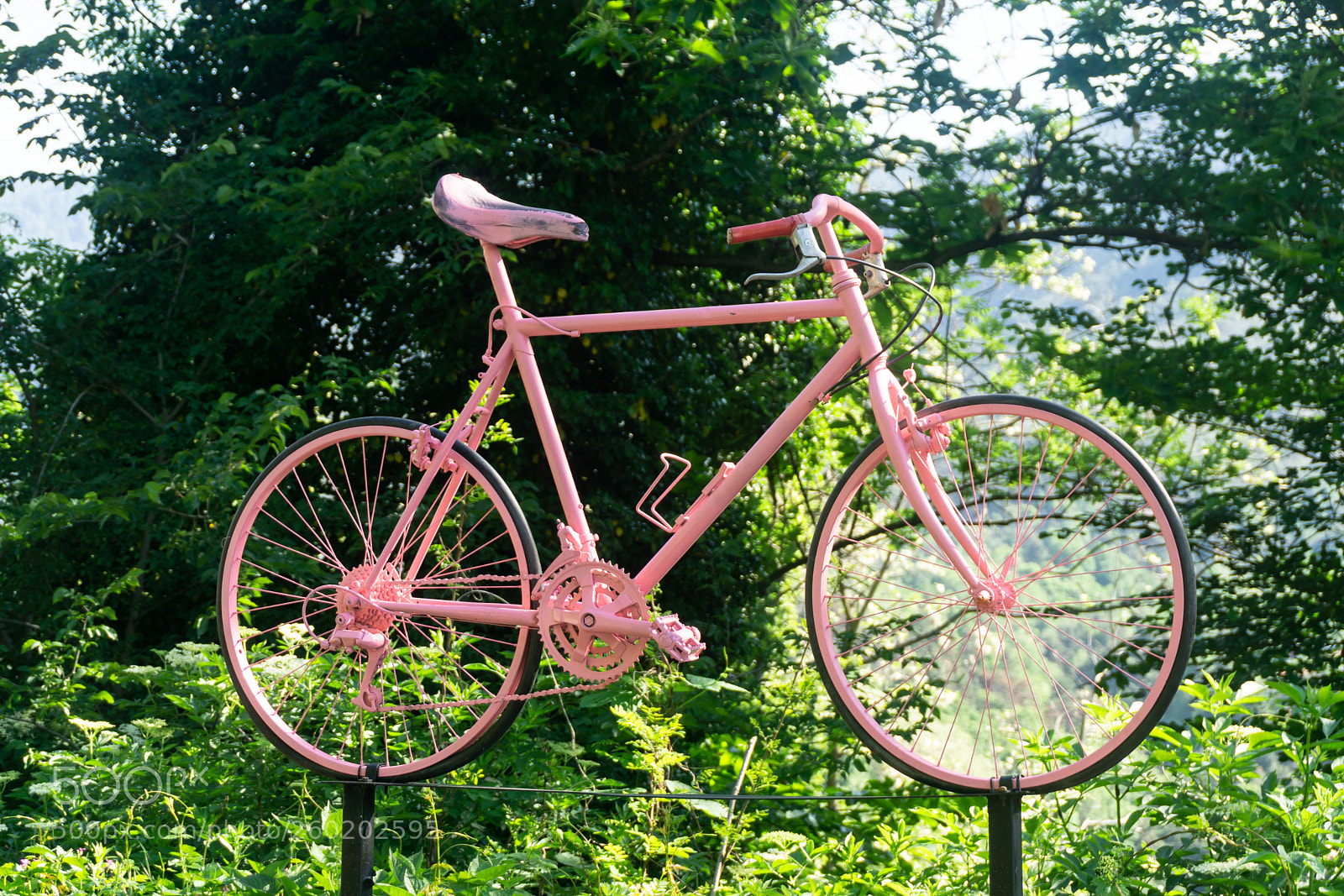Sony a6000 sample photo. A pink bike, symbol photography