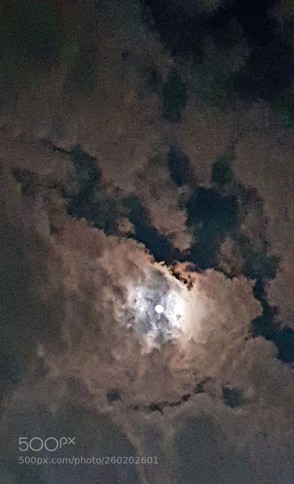Samsung Galaxy S8+ sample photo. Untitled photography
