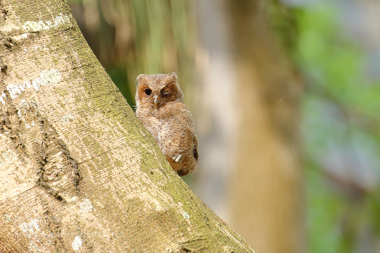 Canon EOS 70D sample photo. 表情多多 many expressions photography