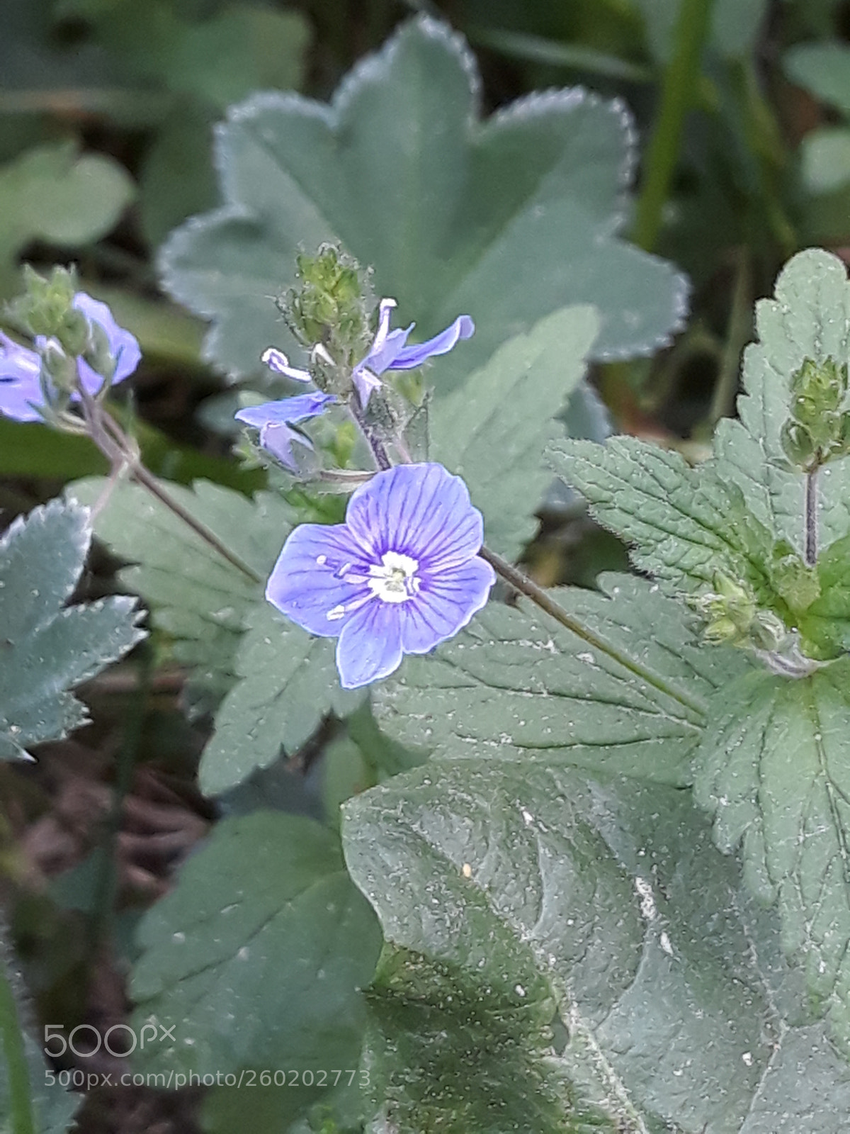 Samsung Galaxy J7 sample photo. Untitled photography