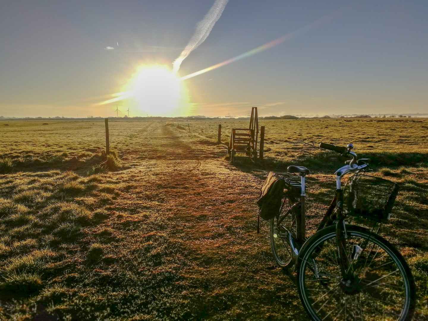 HUAWEI Honor 9 sample photo. Bicycle ride in the morning photography