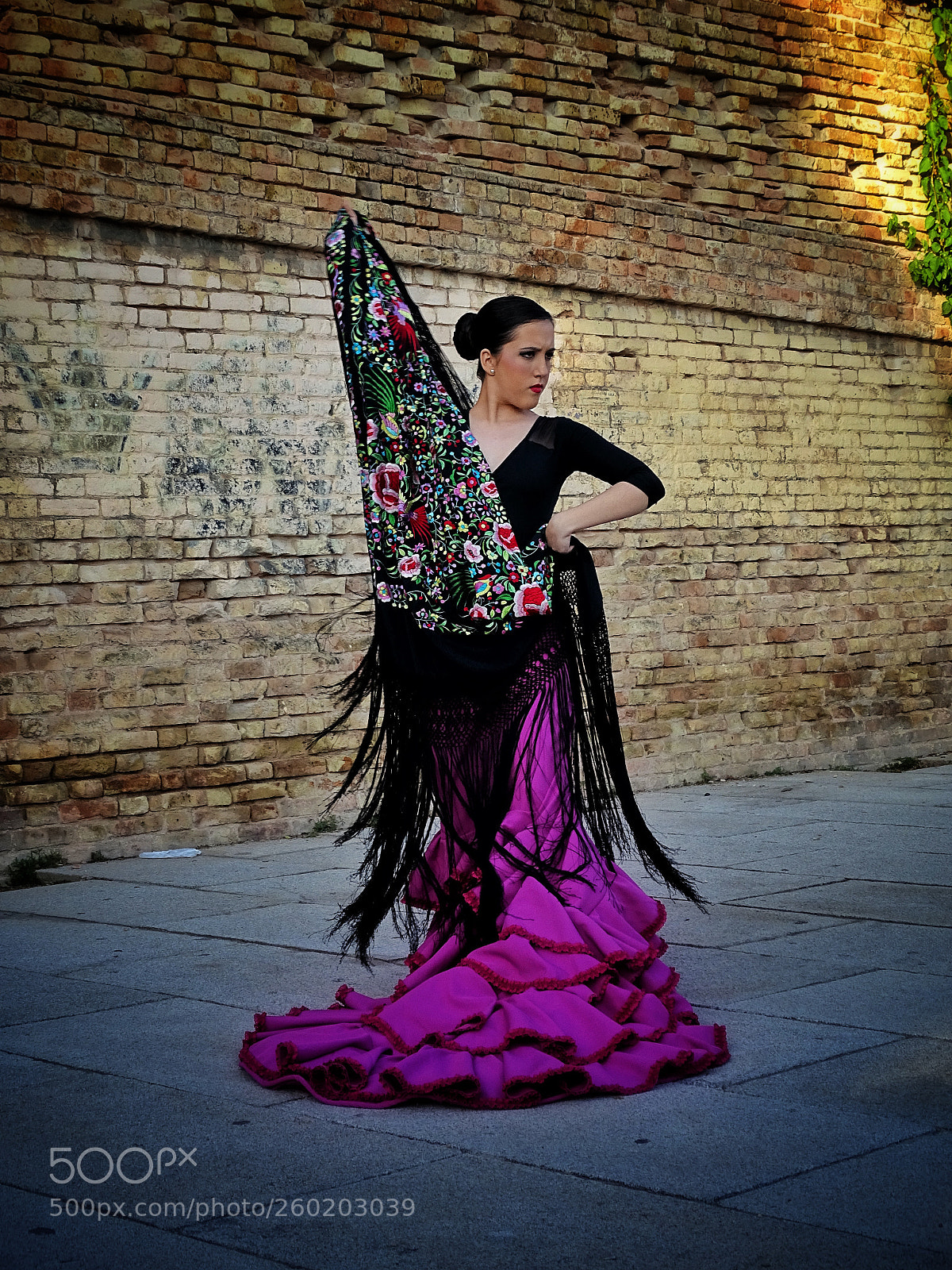 Sony Cyber-shot DSC-HX400V sample photo. Andaluza photography