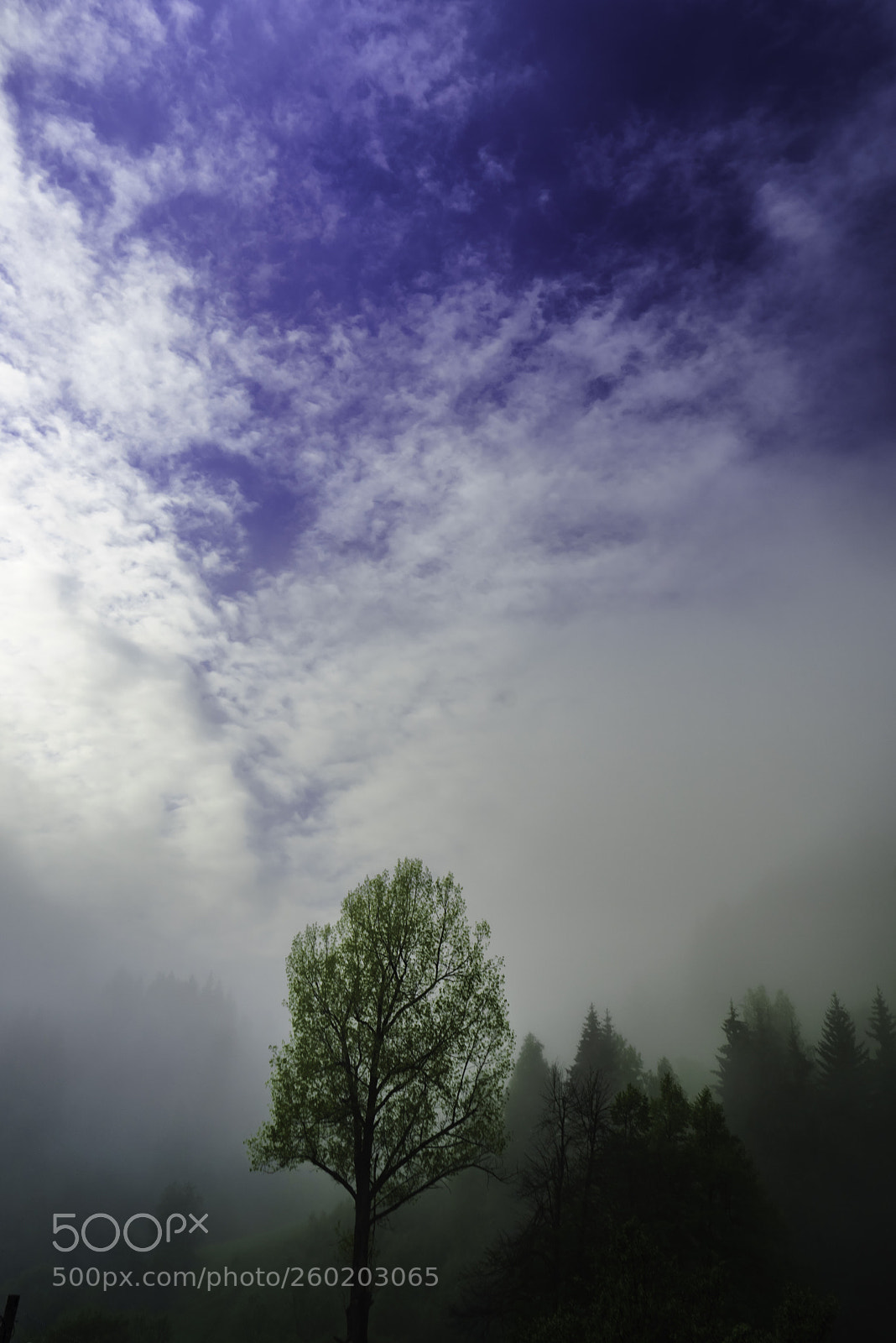Sony a7R sample photo. Untitled photography
