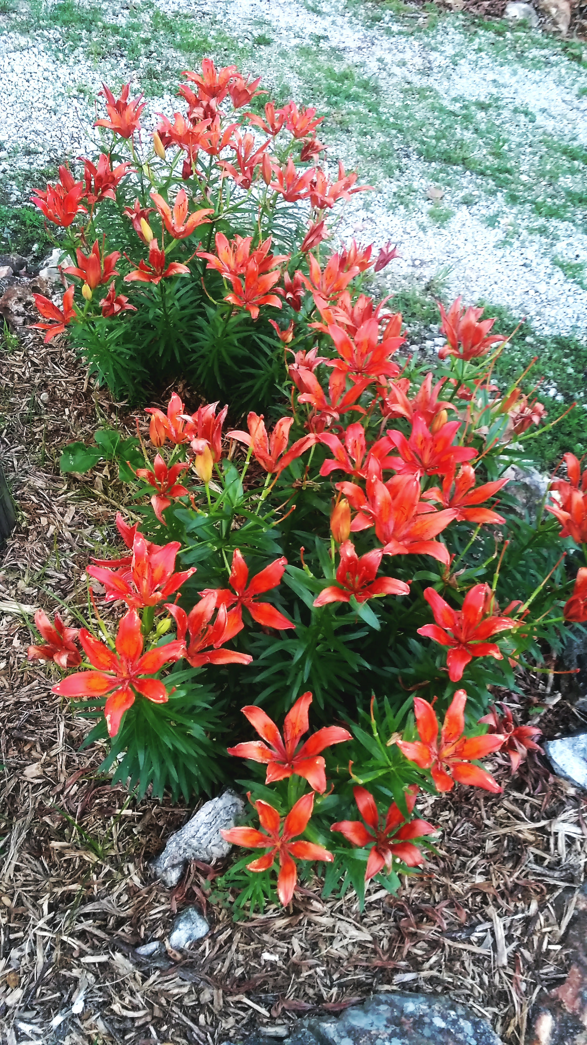 ZTE Z963VL sample photo. Img_20180529_201429.jpg photography