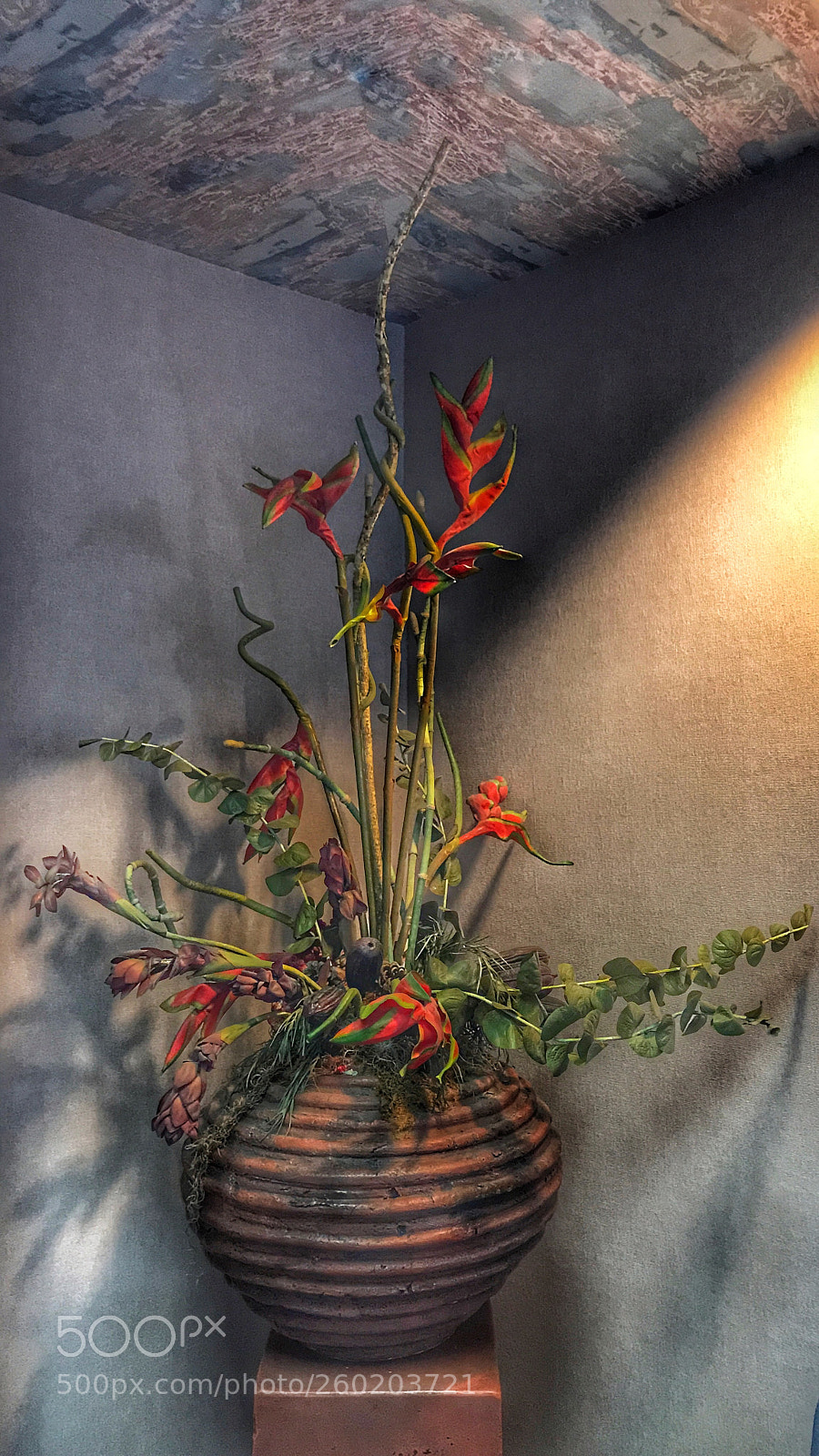 Apple iPhone 7 Plus sample photo. Office corner photography