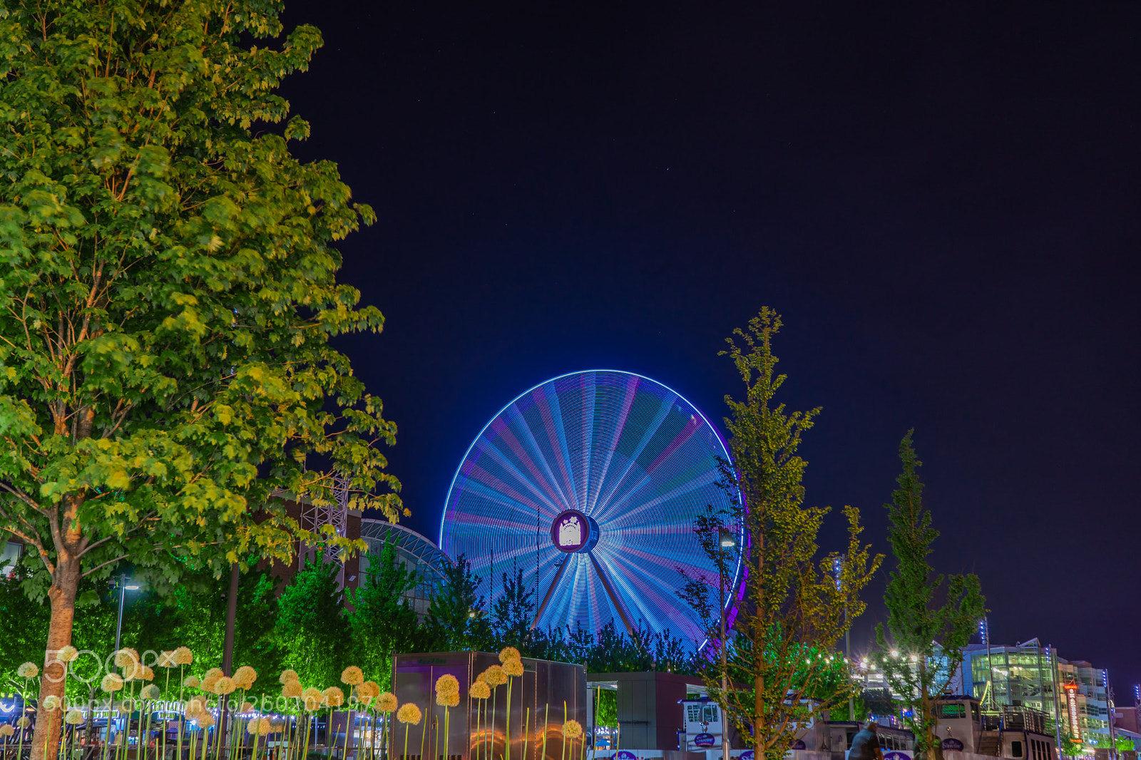 Sony a7 III sample photo. Navy pier photography